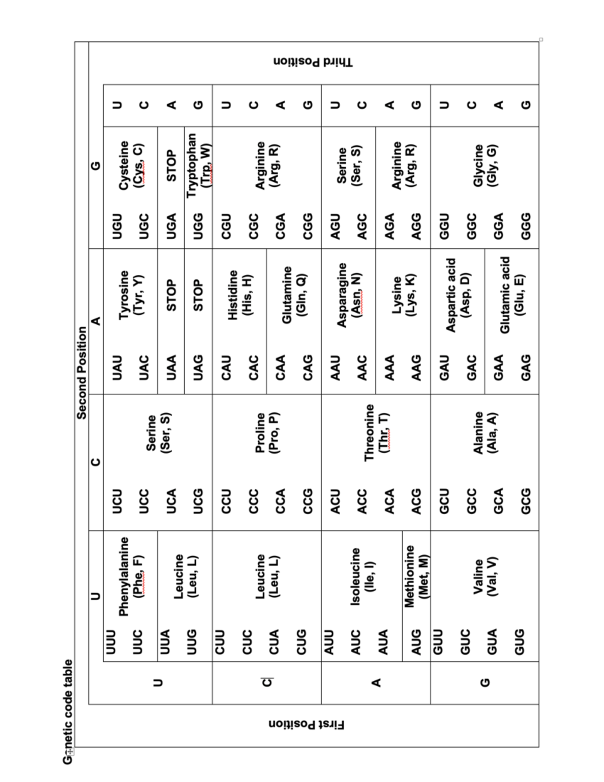 Codon Table - Ganetic code table Second Position U C A G UUU UCU UAU ...