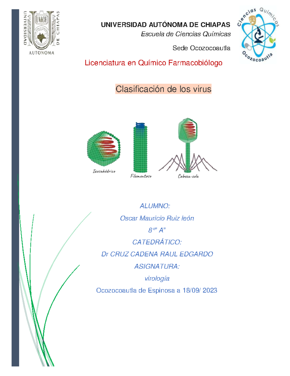 Clasificacion de los virus - ALUMNO: Oscar Mauricio Ruiz león 8 °” A ...
