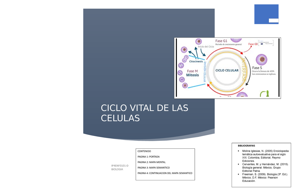 MAPA CONCEPTUAL DEL Ciclo Vital DE LAS Células - IP4ENF0101-D - Studocu