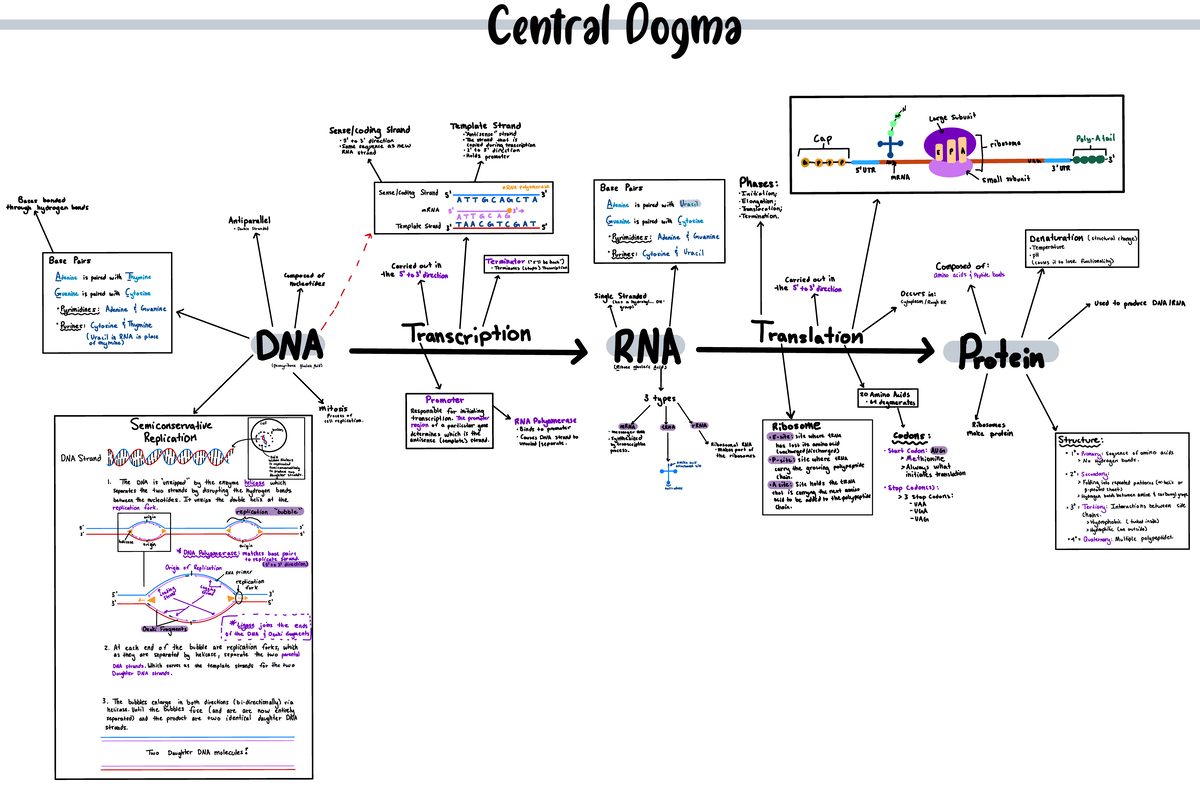 Draw To Learn Assignments - N & 