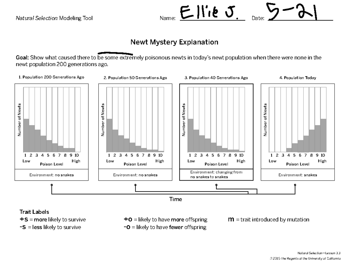 NS 3-3 Modeling Tool Newt Mystery Explanation - Natural Selection ...