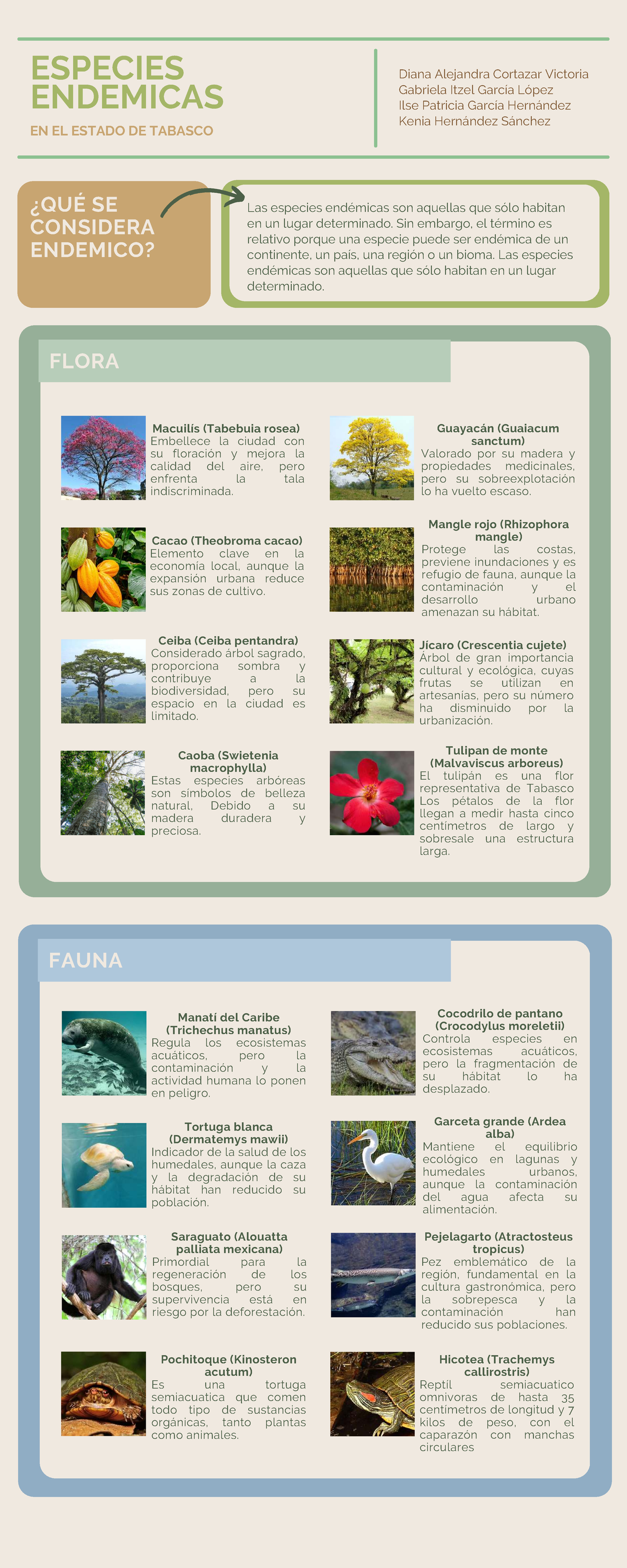 Especies endemicas - ¿QUÉ SE CONSIDERA ENDEMICO? EN EL ESTADO DE ...