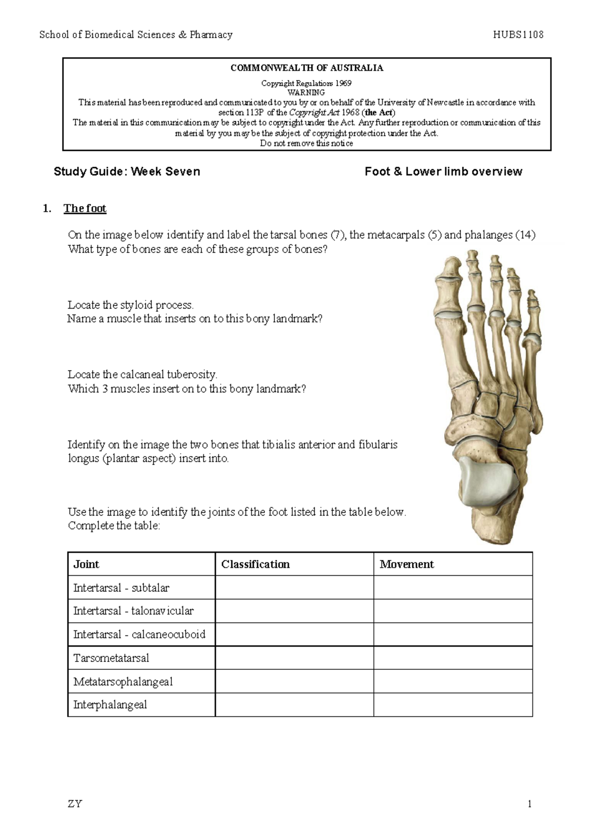Week 7 Study Guide: Foot & Lower Limb Overview HUBS1108 - Studocu