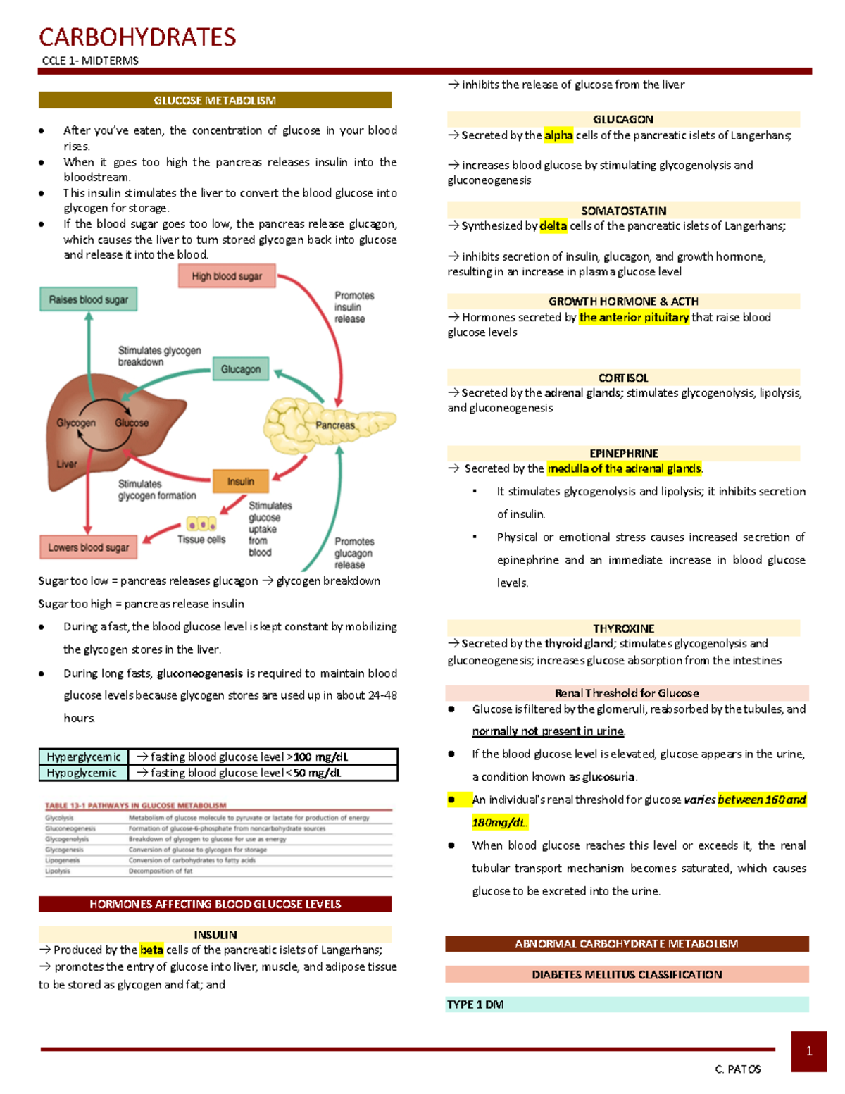 carbohydrate-metabolism-and-hormonal-regulation-ccle1-midterms-studocu
