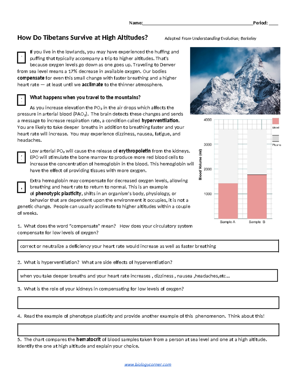 The Amazing Adaptation: How Tibetans Survive High Altitudes - yf9cc0p
