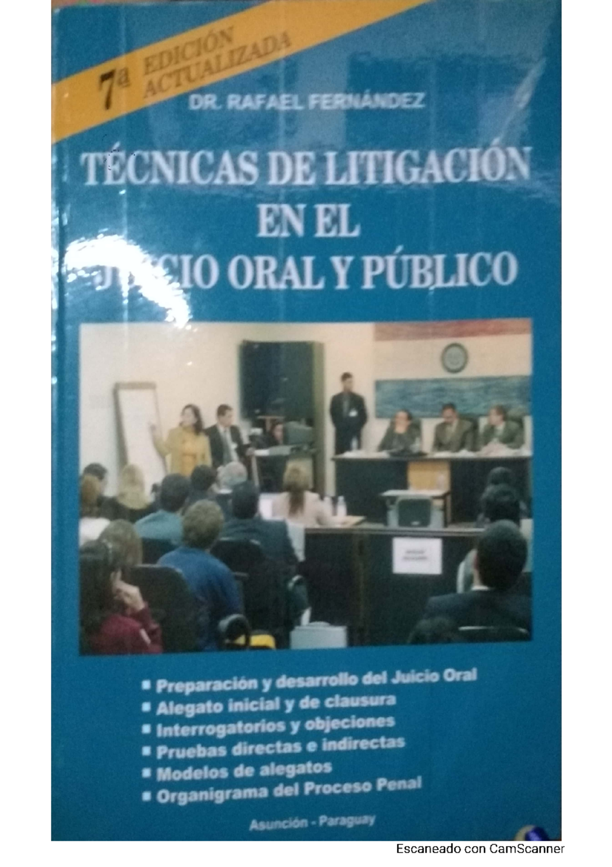 Técnicas de Litigación en el Juicio Oral - Dr. Rafael Fernández - Document Preview