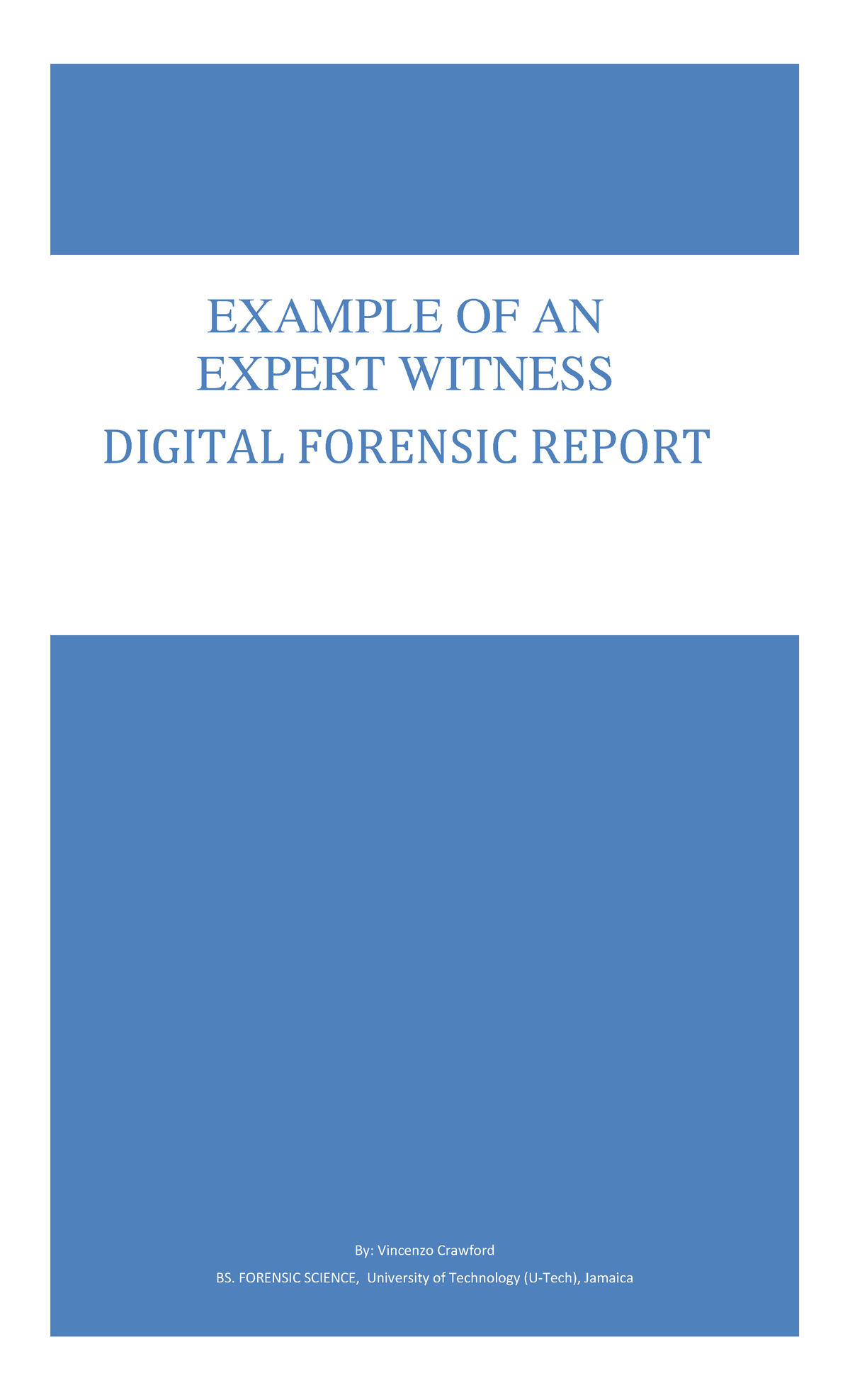 Digital Forensic Report on Expert Witness Case: Therese Brainchild ...