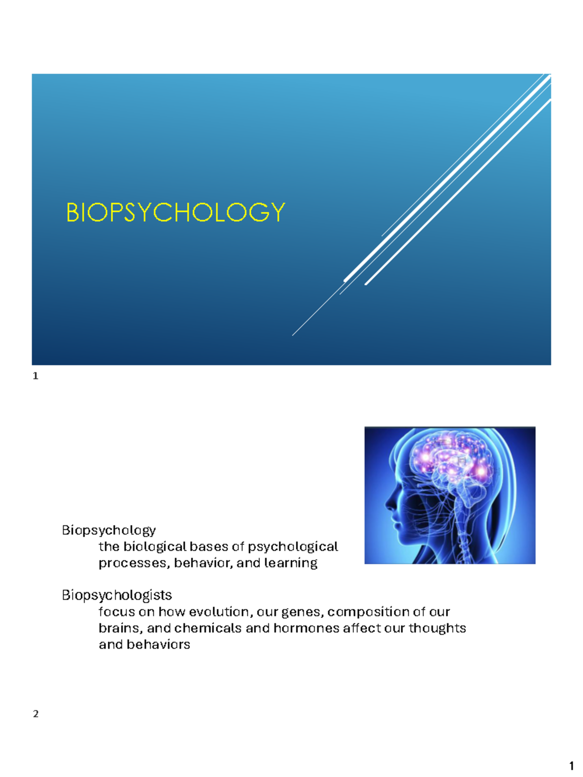 Biopsychology: Understanding the Nervous System - Studocu