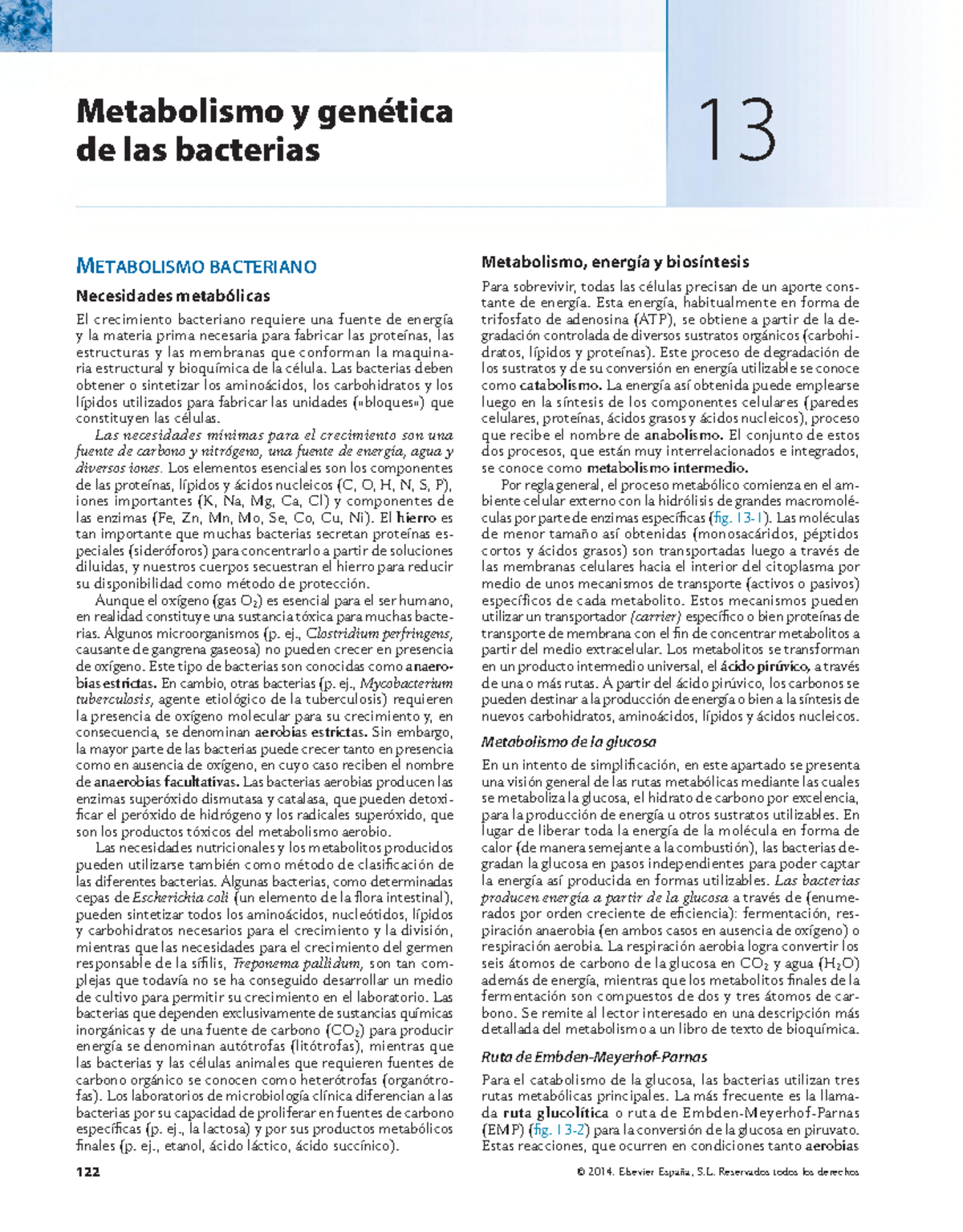Metabolismo y Genética Bacteriana - Microbiología Médica MURRAY Cap. 13 - Document Preview