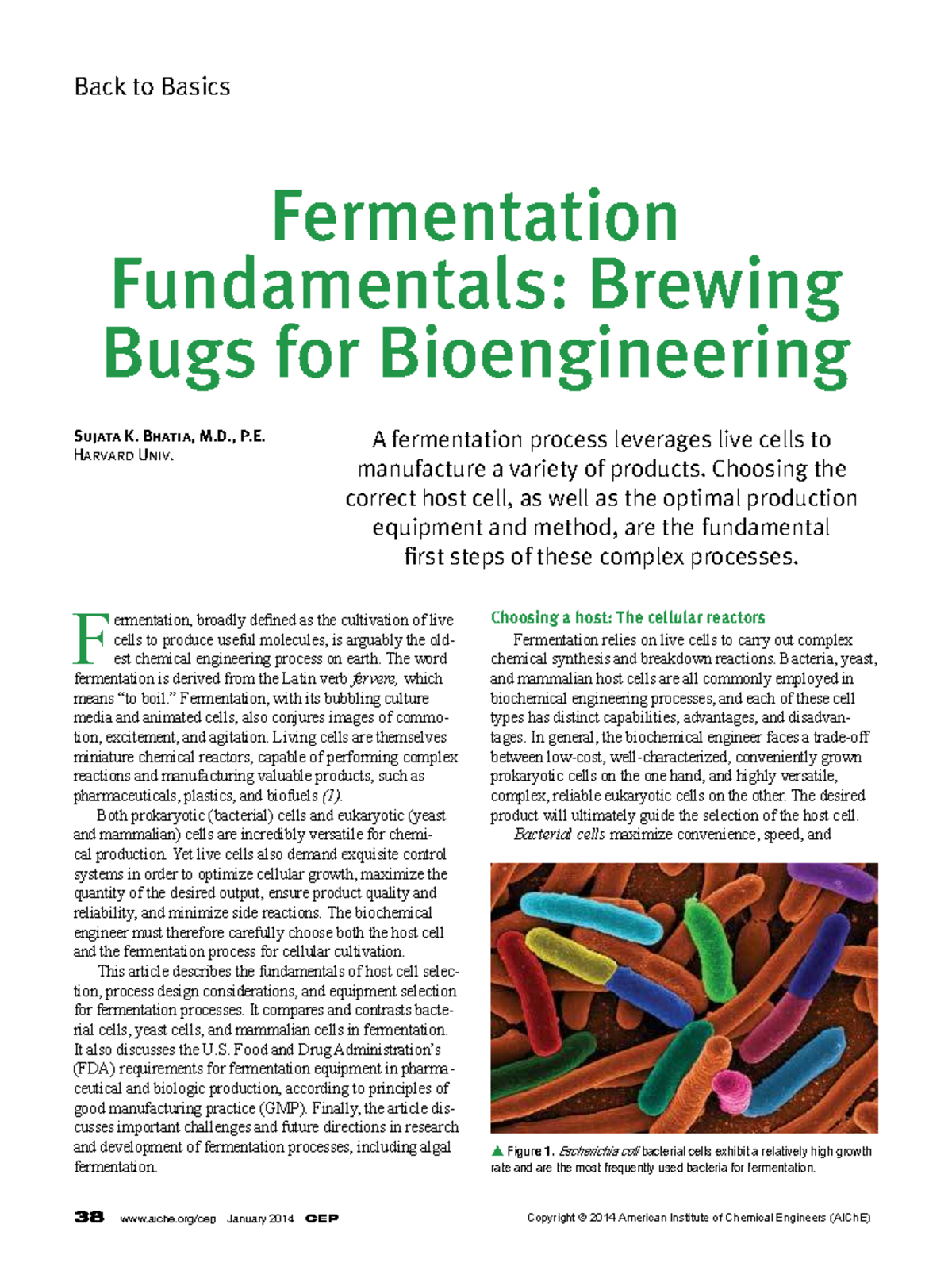 Fermentation Fundamentals: Brewing Techniques for Bioengineering - Studocu