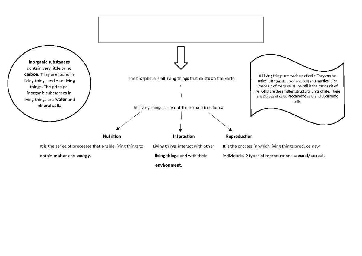 Summary of the Biosphere: Key Concepts and Functions - Studocu