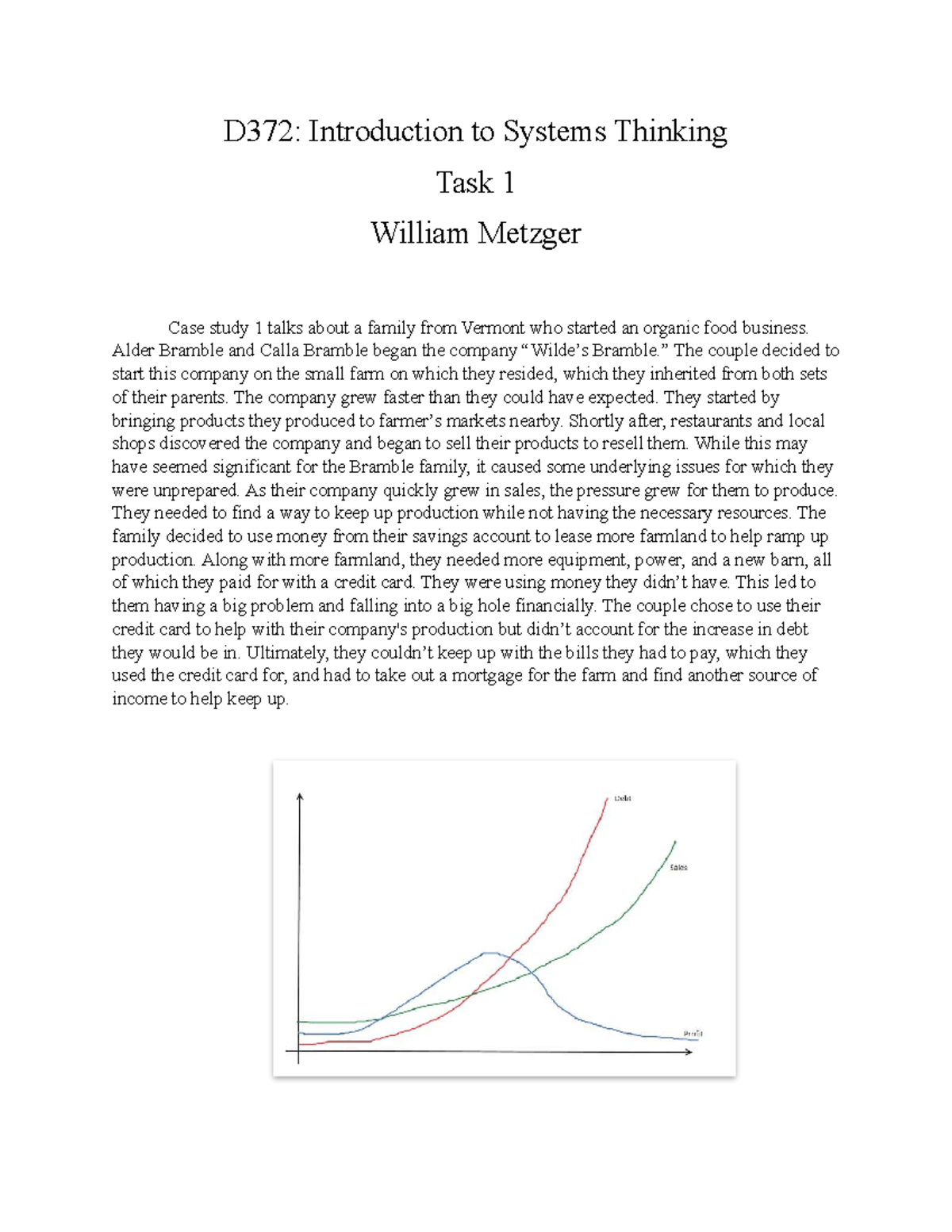D372 Task 1 - D372 Task 1 - D372: Introduction to Systems Thinking Task ...