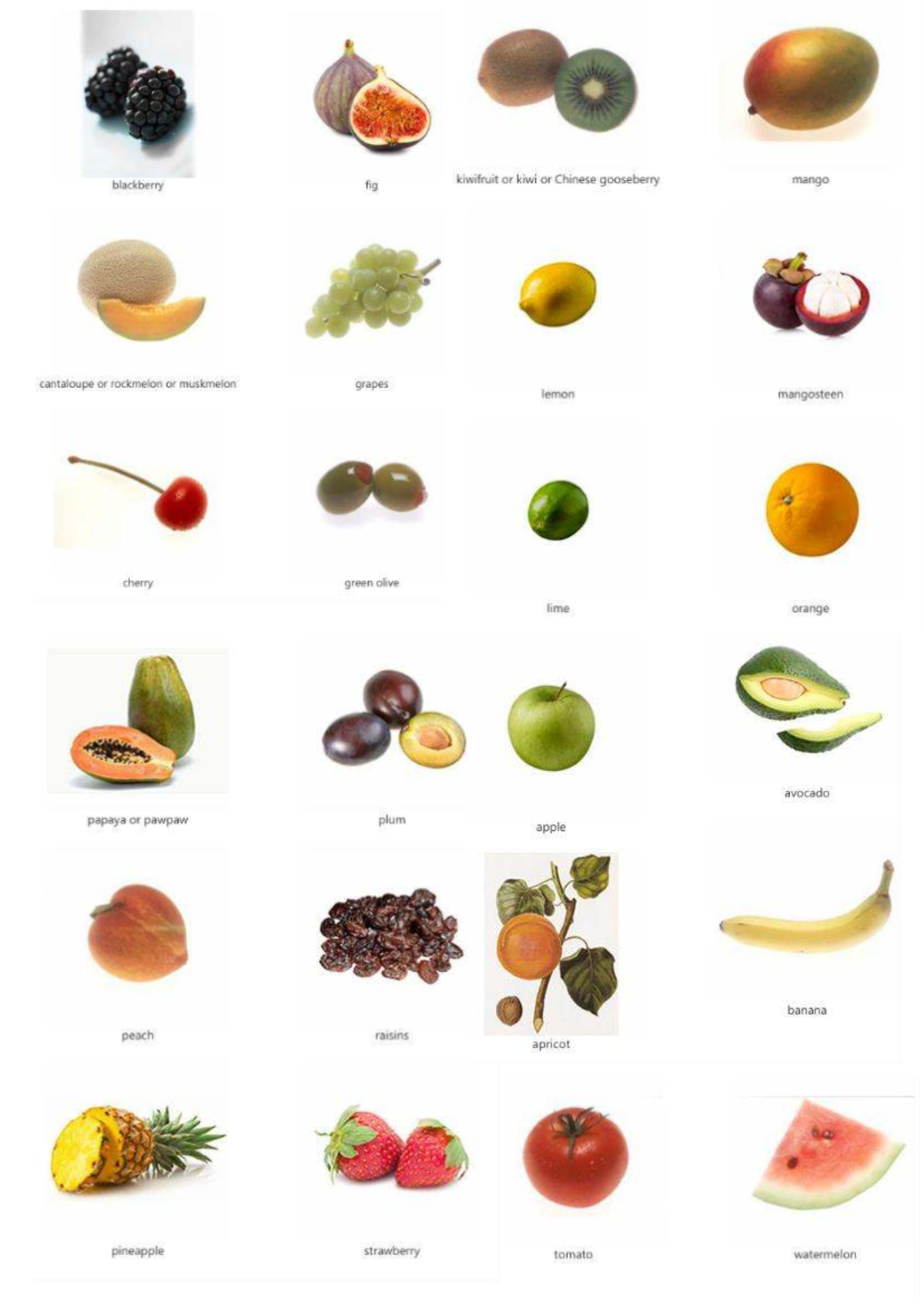 Food Vocabulary: Fruits, Nuts, Seafood, and Dairy Terms - Studocu