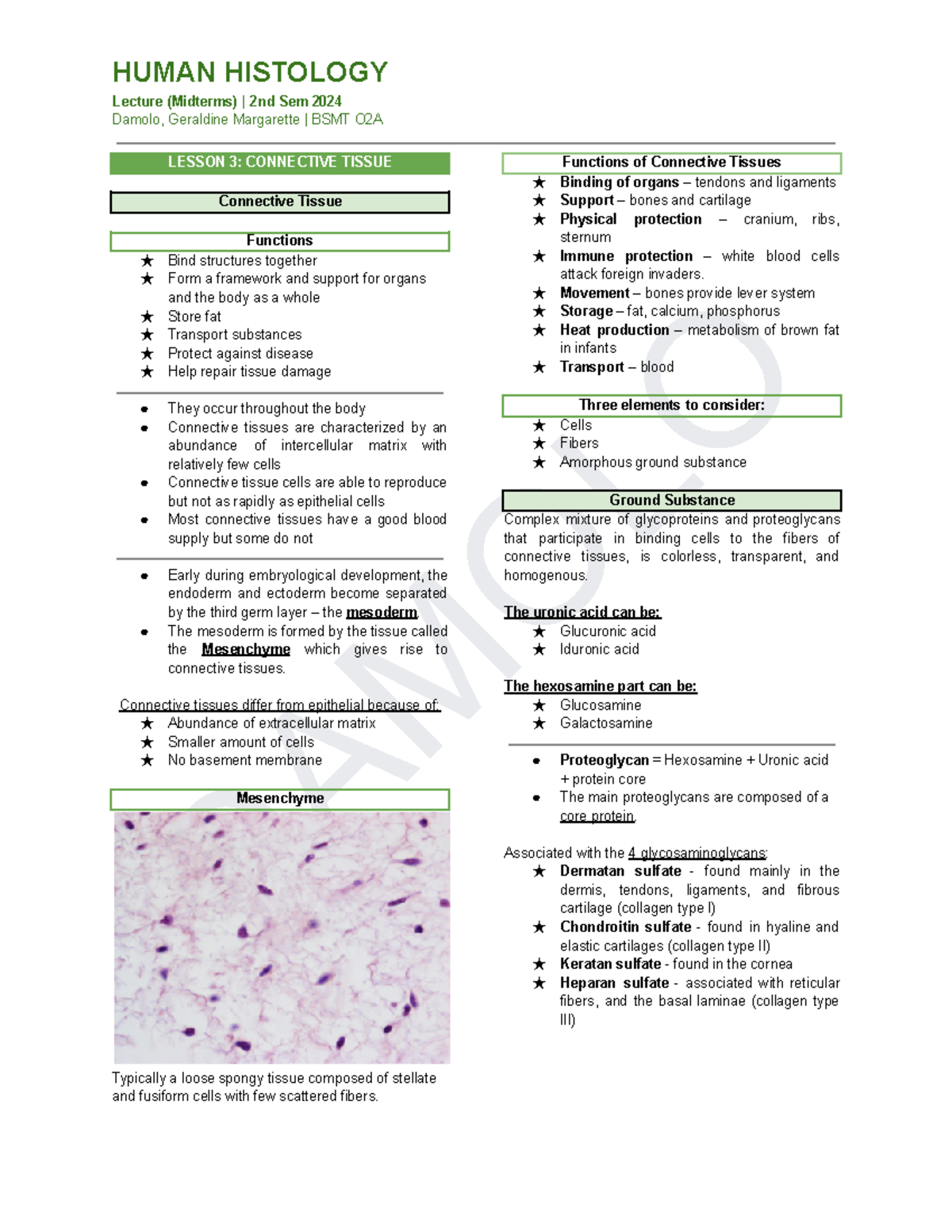 HUMAN HISTOLOGY BSMT O2A Midterm Lecture Notes on Connective Tissue ...