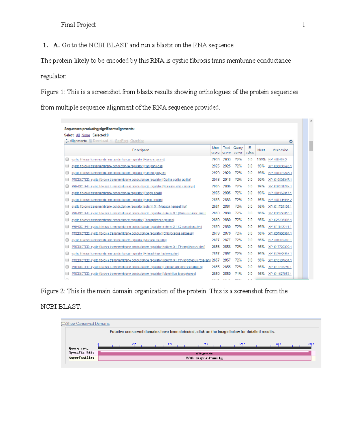 Bioinformatics - Final Project on Cystic Fibrosis CFTR Mechanisms and ...