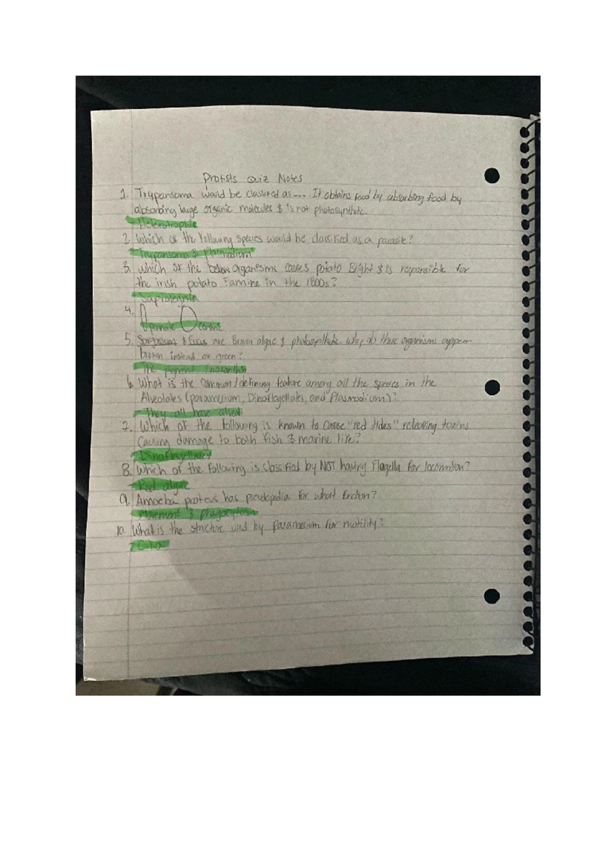 Animal Diversity I Worksheet - BSC1011L Lab Worksheet Animal Diversity ...