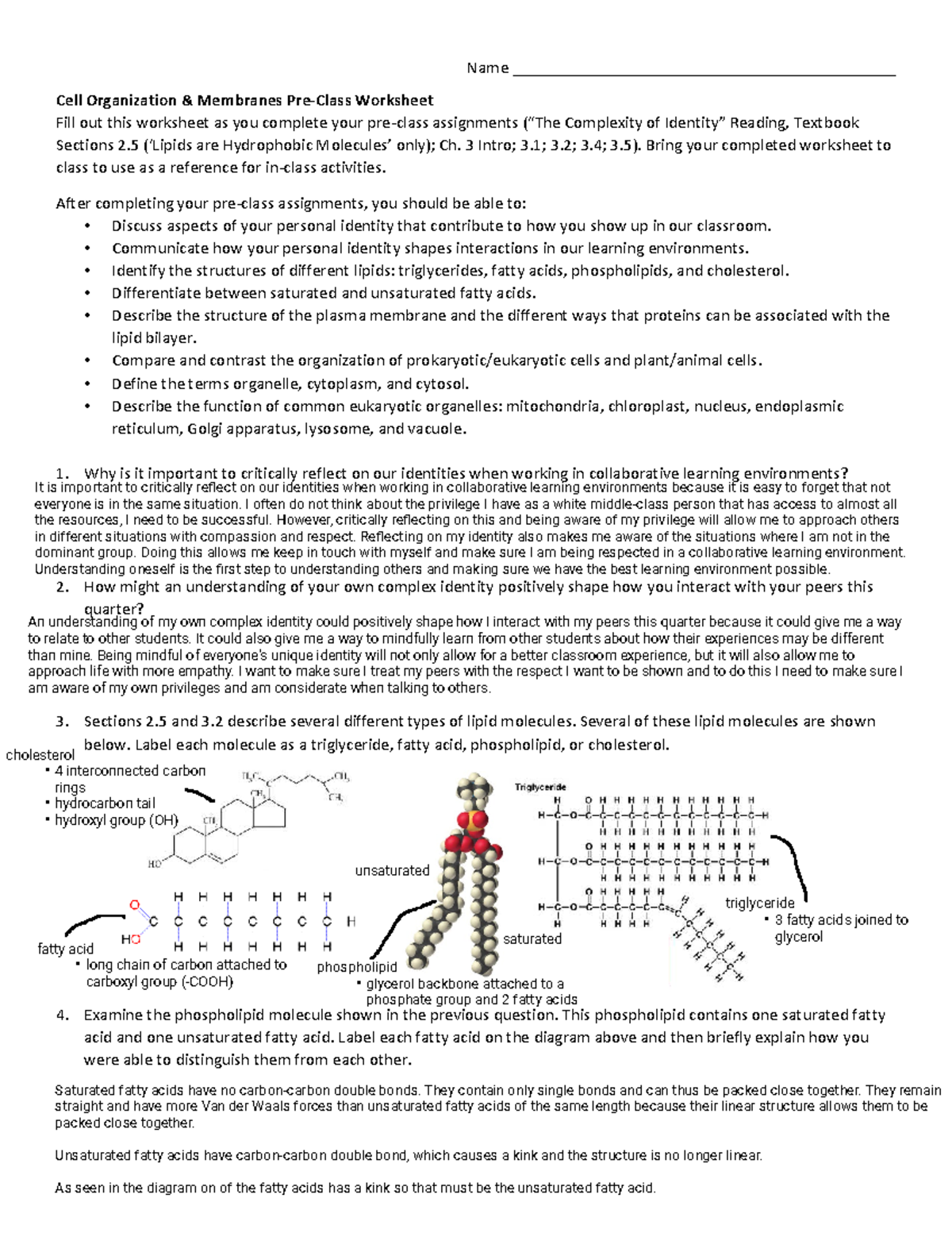 Cell Organization and Membranes Worksheet (Ch. 2.5 & 3.2) - Studocu