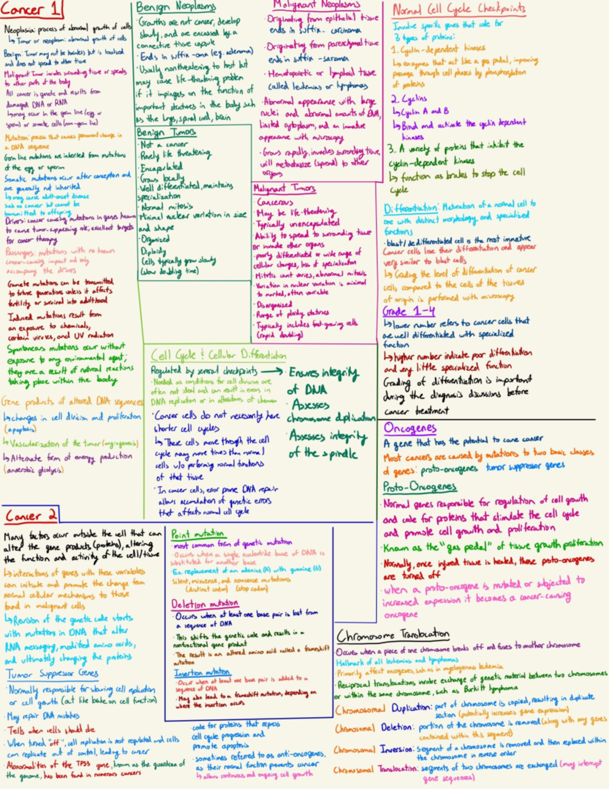 Final Exam Notes on Cancer: Benign and Malignant Neoplasms - Studocu