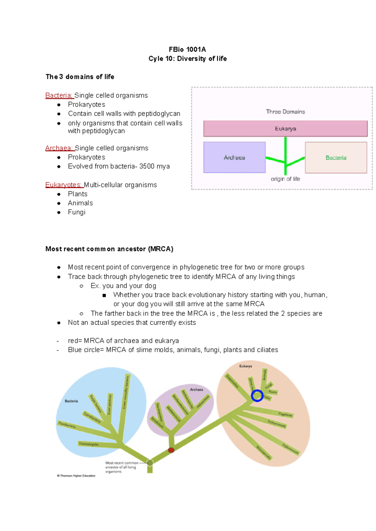 Bio 1001A Cycle 10: Exploring the Diversity of Life and Evolution - Studocu
