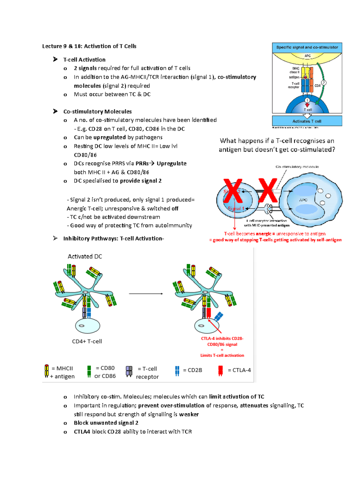 Lecture 9-12 notes - T cells, Immunological responses to pathogens ...