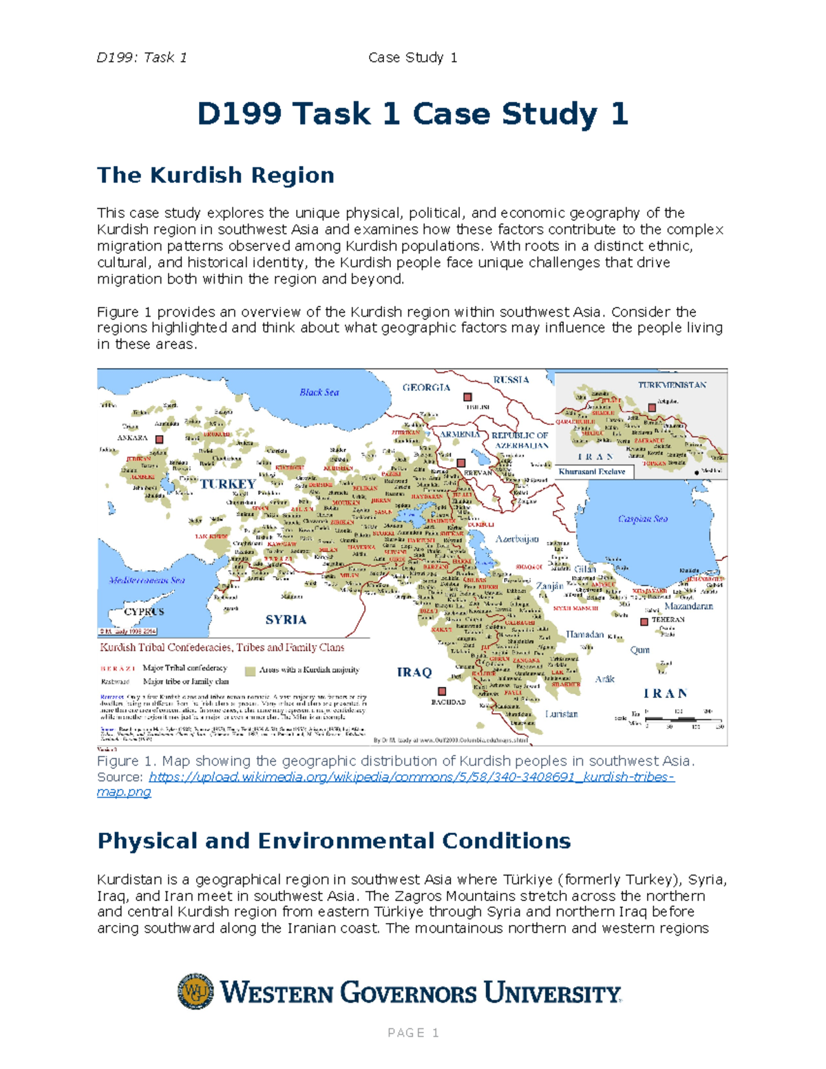 Case Study 1 - author list - D199 Task 1 Case Study 1 The Kurdish ...