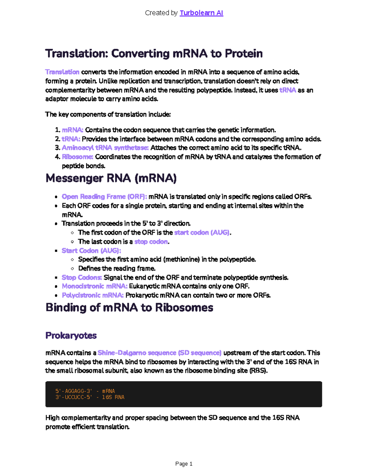 U4 Lecture Notes: mRNA Translation and Protein Synthesis - Studocu