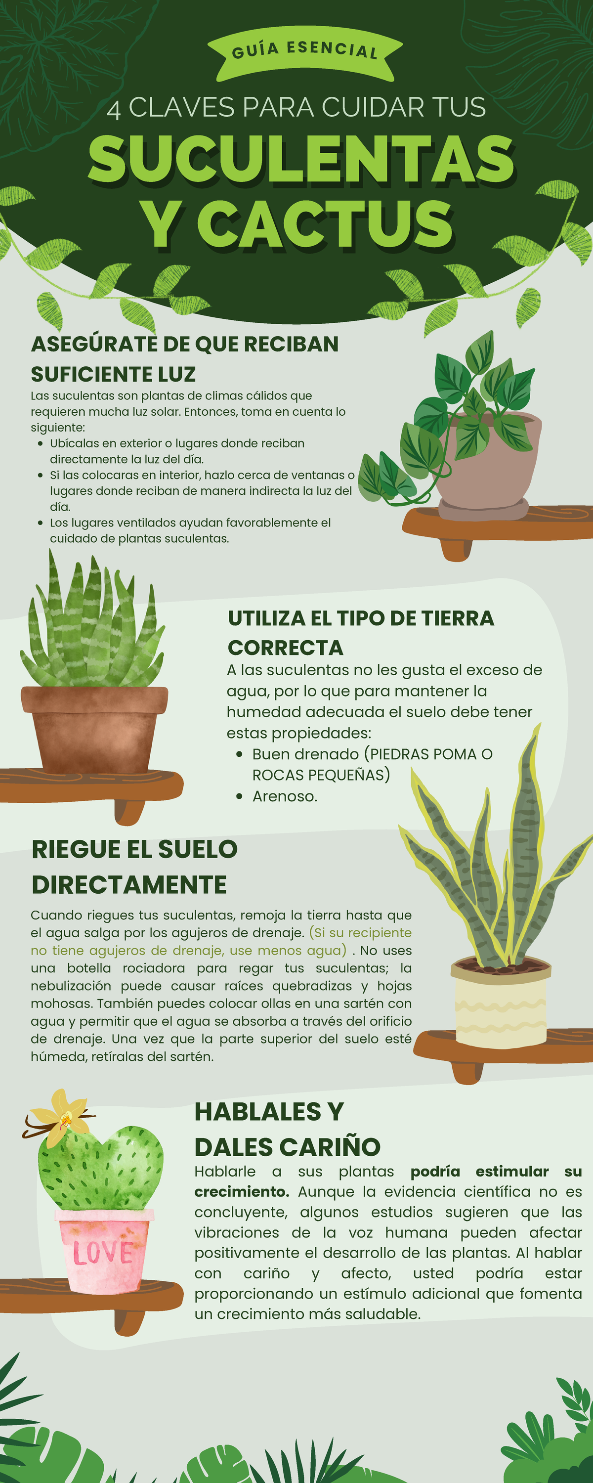 Cuidados Esenciales para Suculentas y Cactus en el Hogar - Studocu