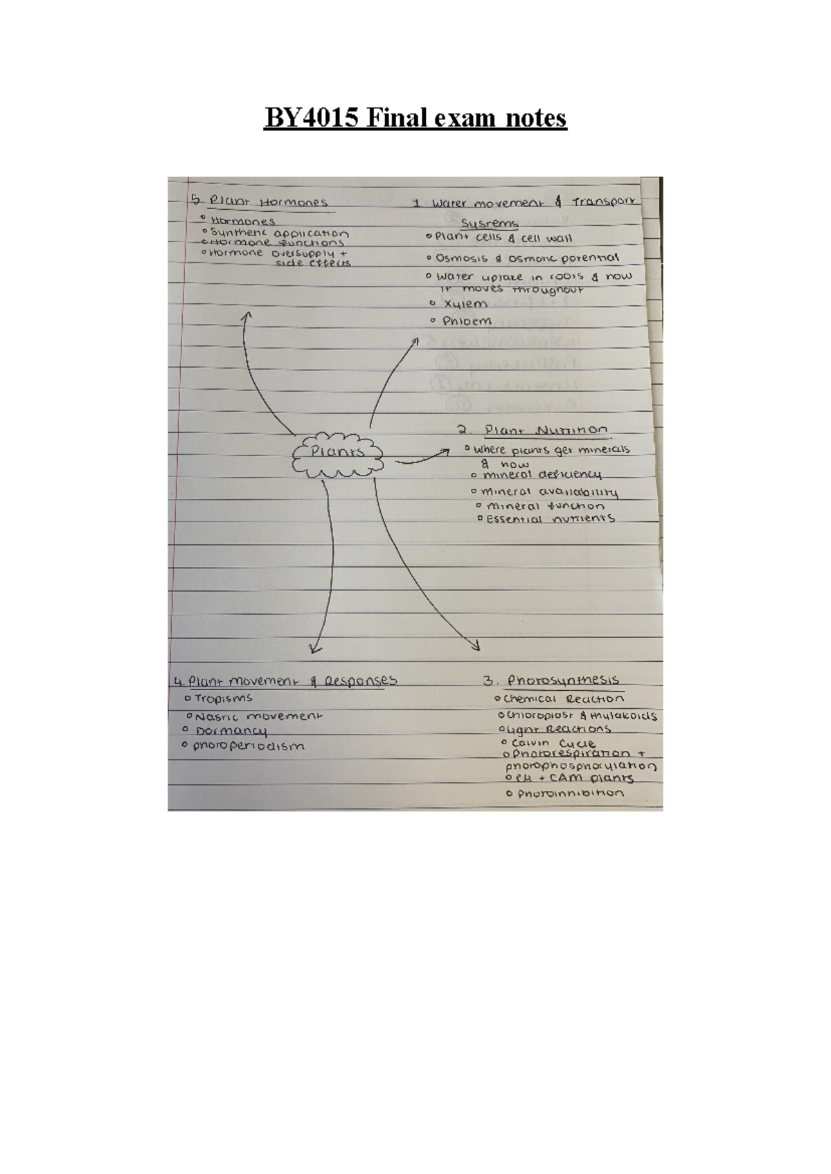 BY4015 Final Exam Notes on Plant Biology and Nutrition - Studocu
