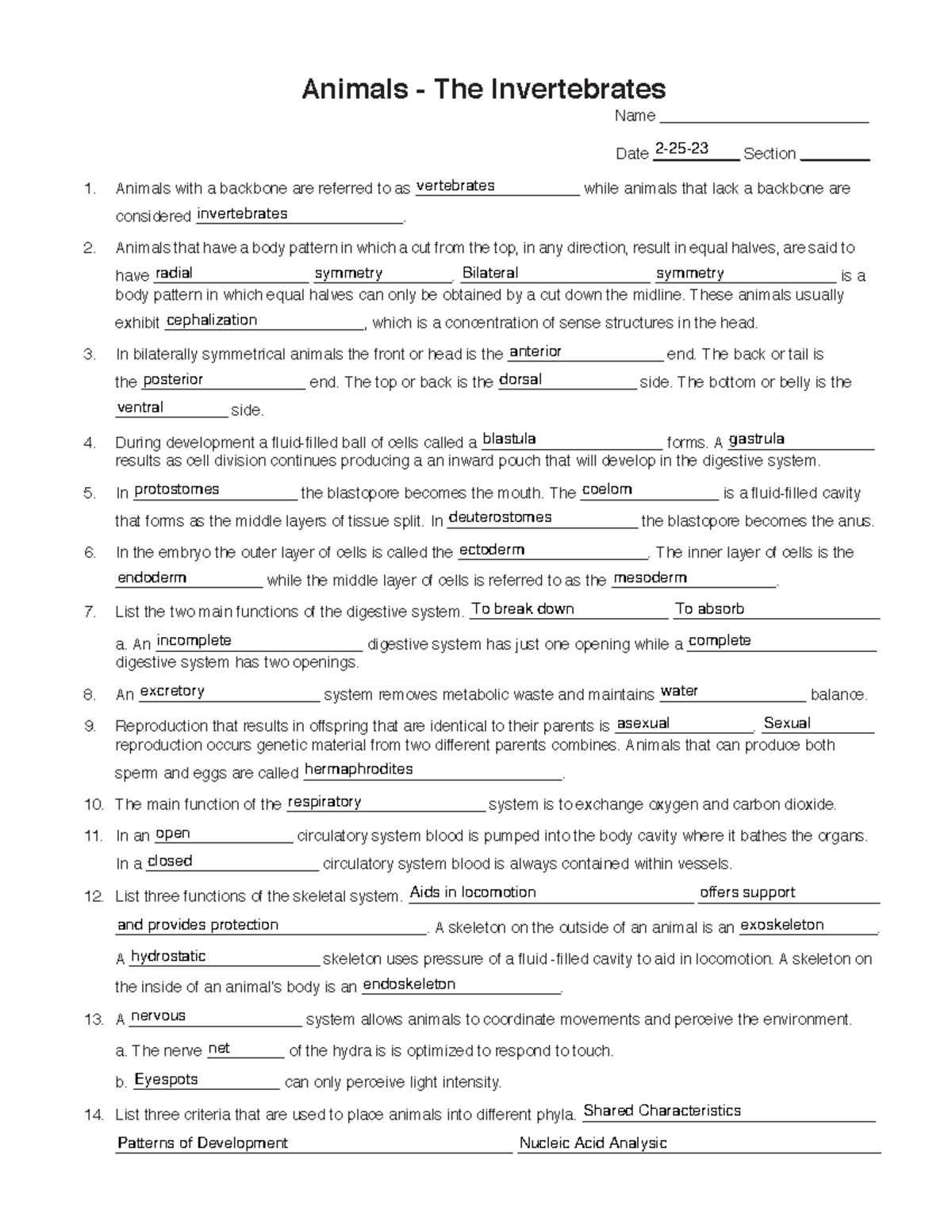 Animals Invertebrates Worksheet - Understanding Animal Classification ...