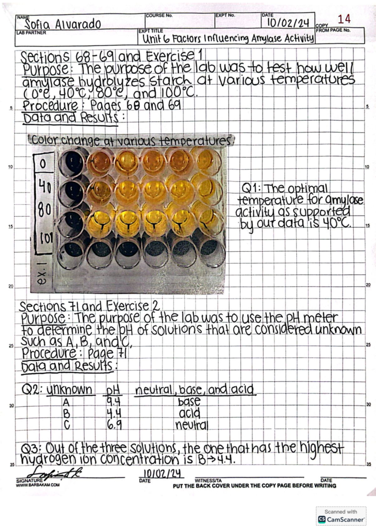 Lab Report: Factors Influencing Amylase Activity (Unit 6) - Studocu