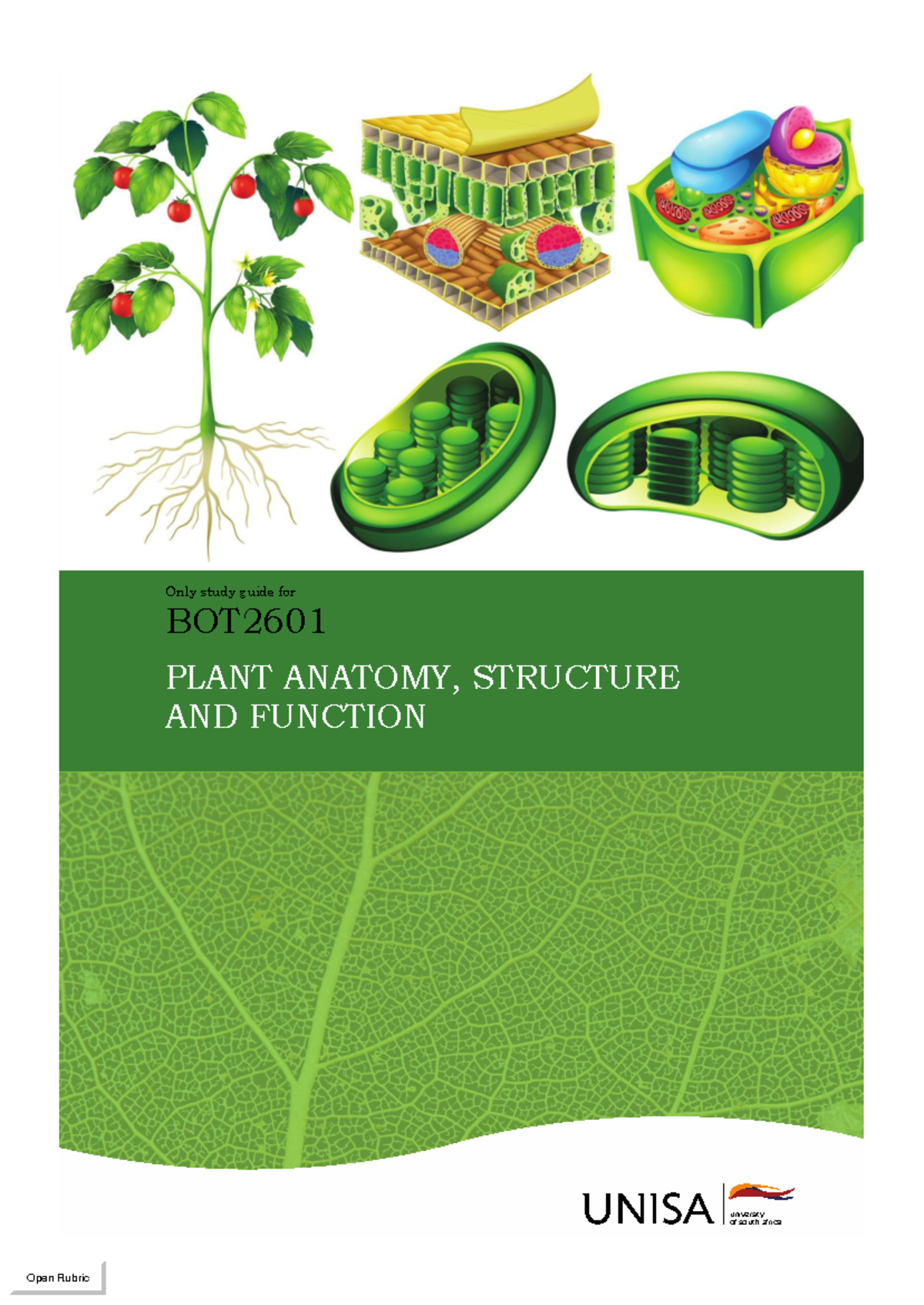 Study Guide for BOT2601: Plant Anatomy, Structure & Function - Studocu