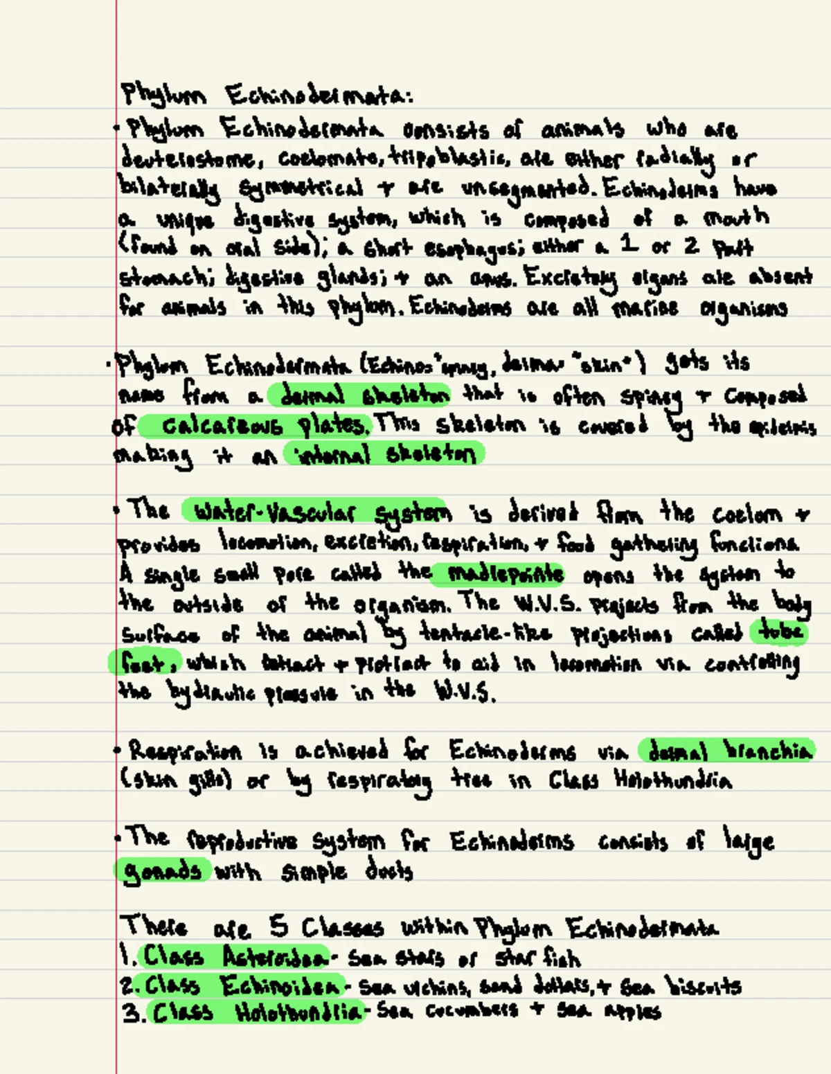 Phylum Chordata - Phylum Chordata : All organisms in phylum Choi data ...