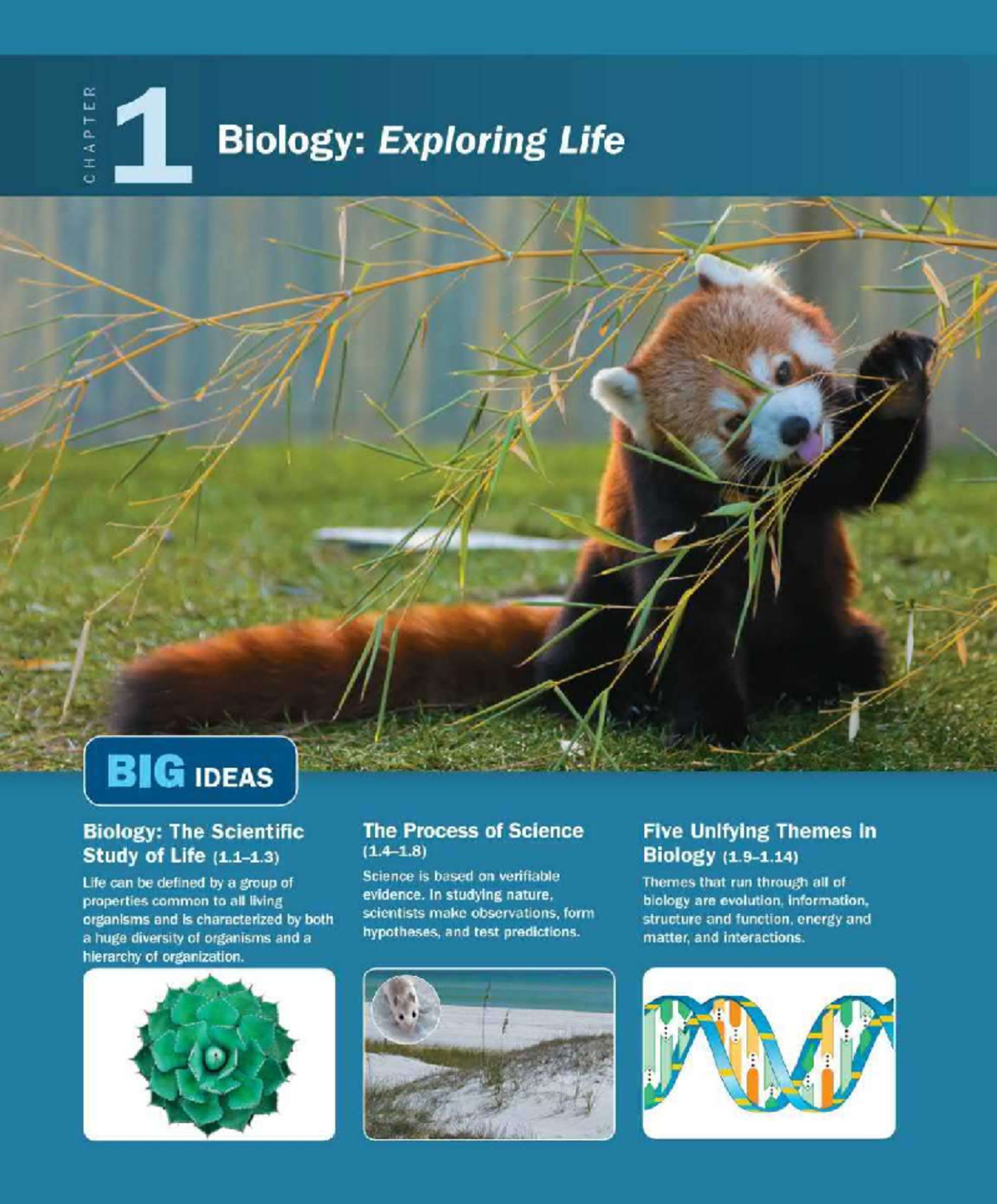Biology 101: Exploring Evolution and Natural Selection Mechanisms - 1 ...