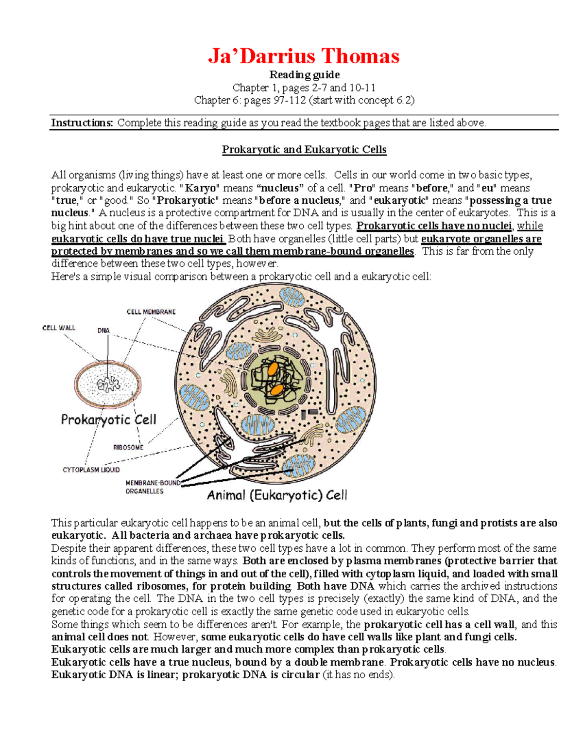 Chapter 1 & 6 Reading Guide: Prokaryotic vs Eukaryotic Cells - Studocu