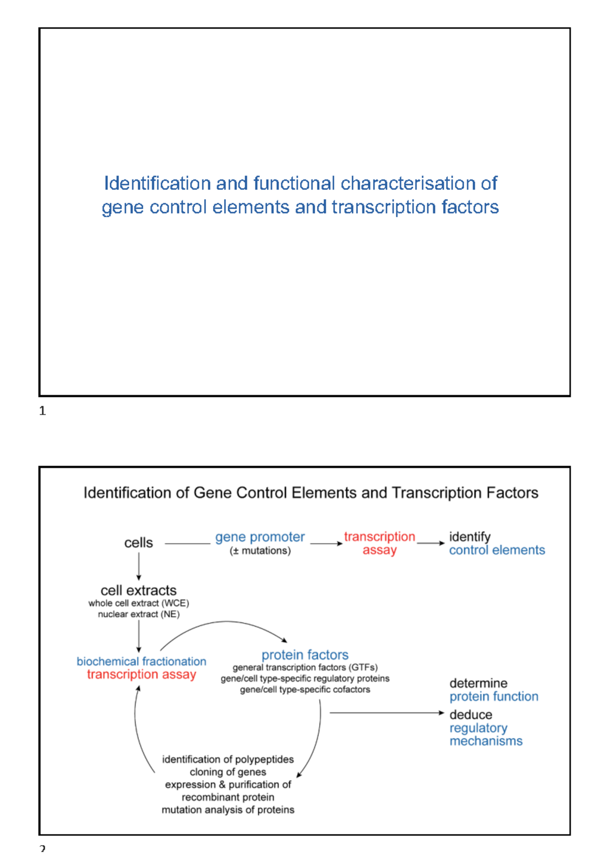 Identification and Functional Characterisation of Gene Control Elements ...