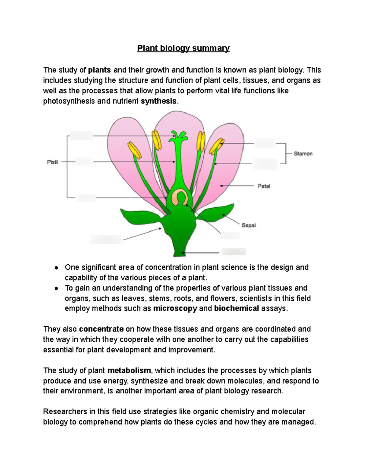 Plant Biology Overview: Key Concepts and Functions Explained - Studocu