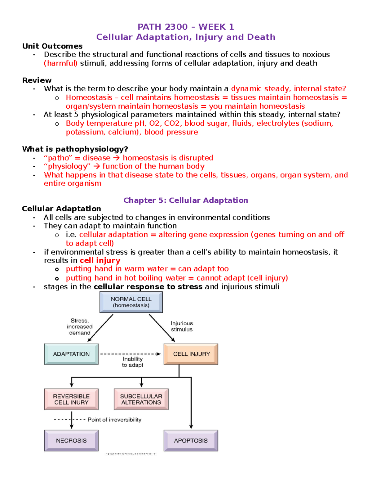 PATH 2300 WEEK 1: Cellular Adaptation, Injury, and Death Overview - Studocu