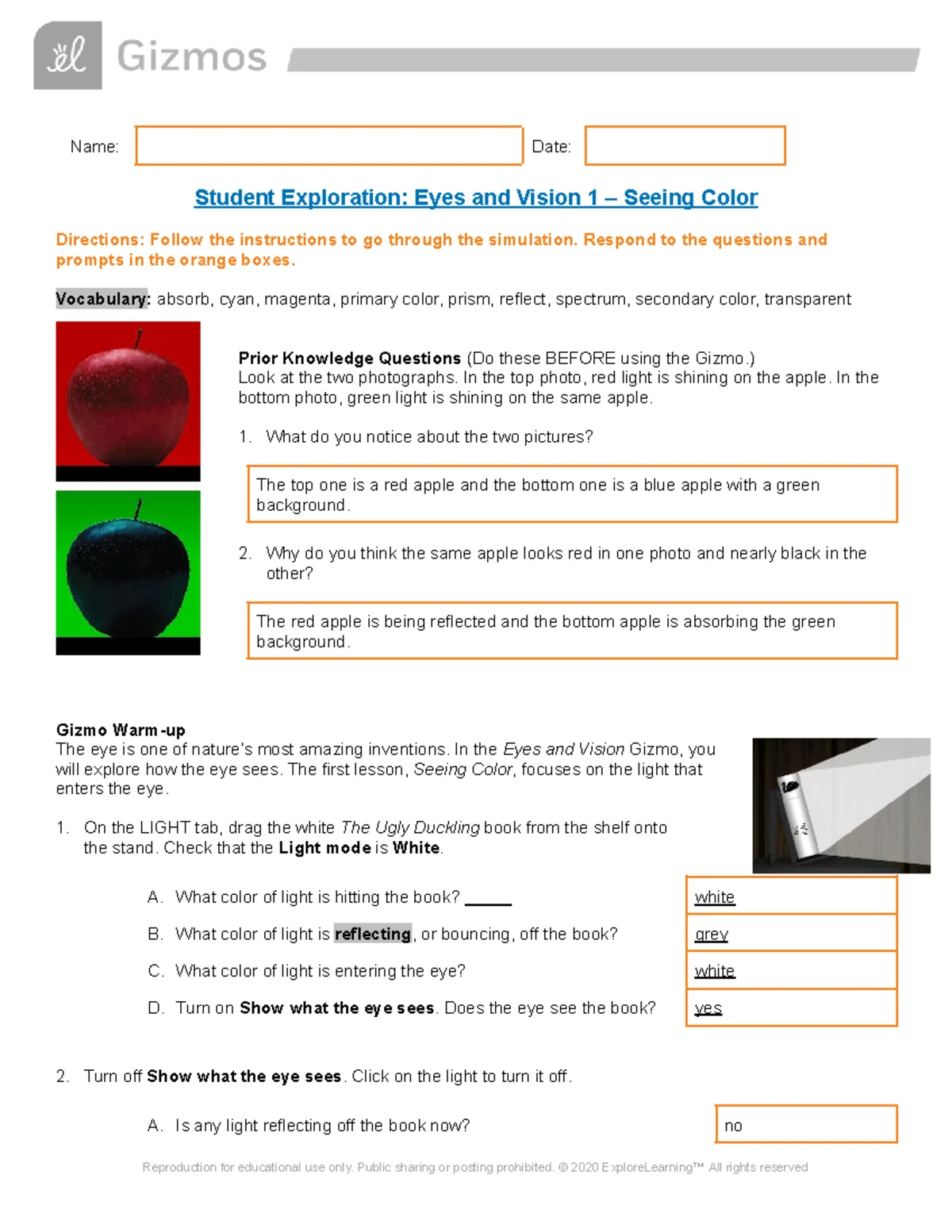 Ecological Pyramids Pogil Answers: No More Frustration! - 2zfegu8