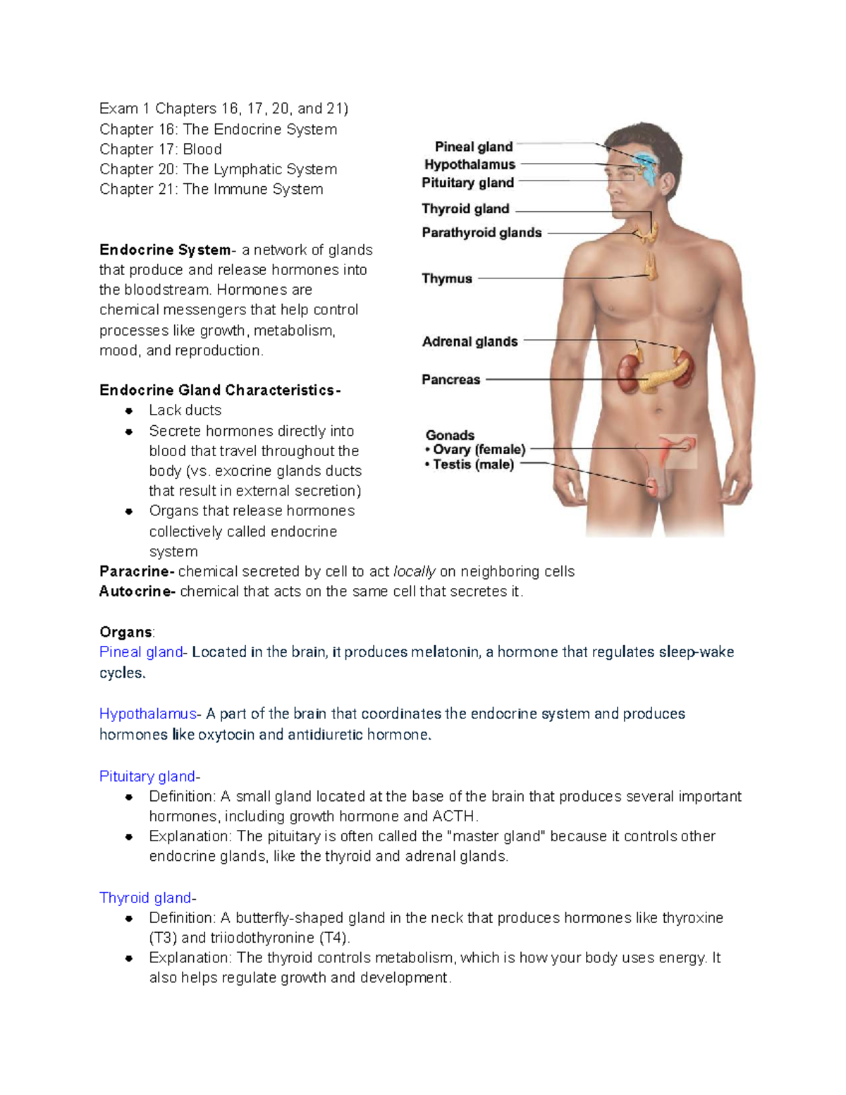Endocrine System & Blood Overview: Exam Review (Ch. 16, 17, 20, 21 ...
