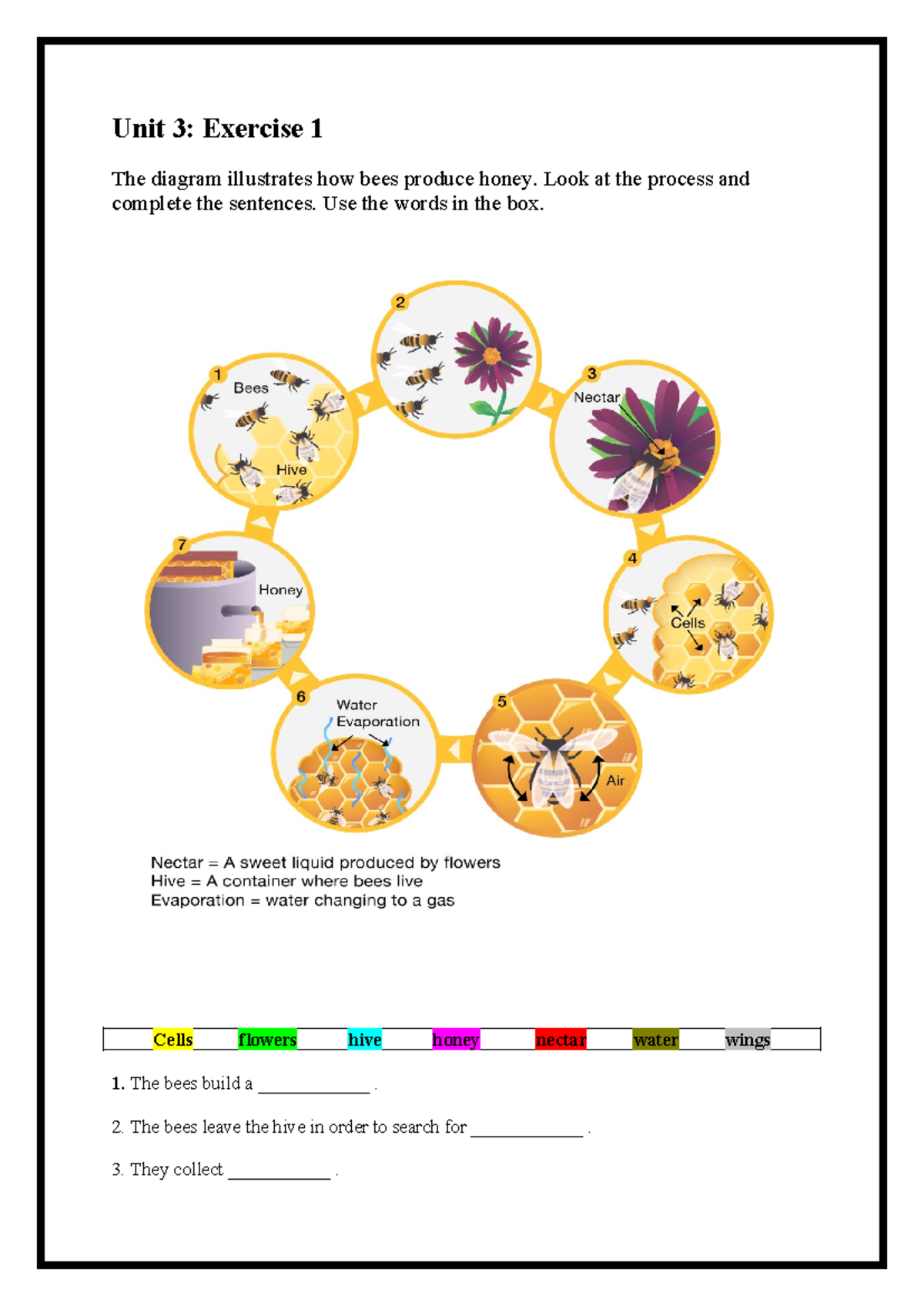 Unit 3 - Writing - good - Unit 3: Exercise 1 The diagram illustrates ...