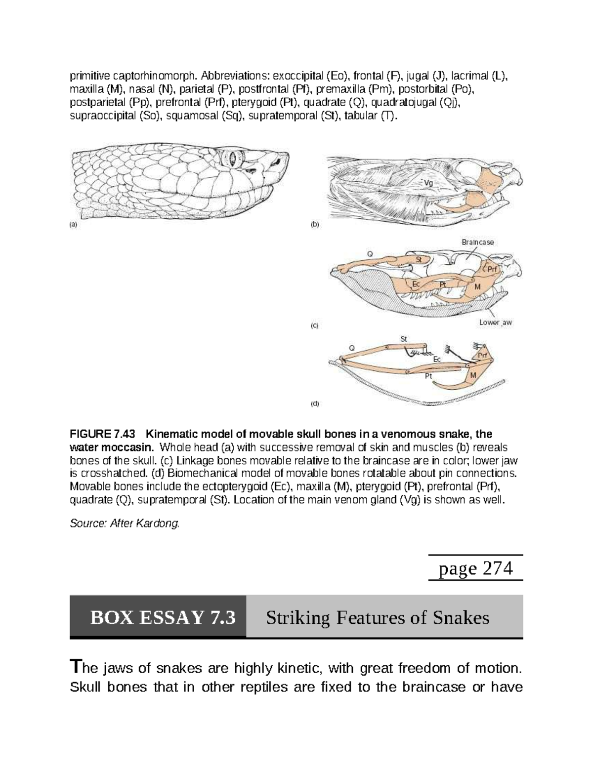 Feeding Mechanisms and Skull Evolution in Vertebrates (Course Code ...