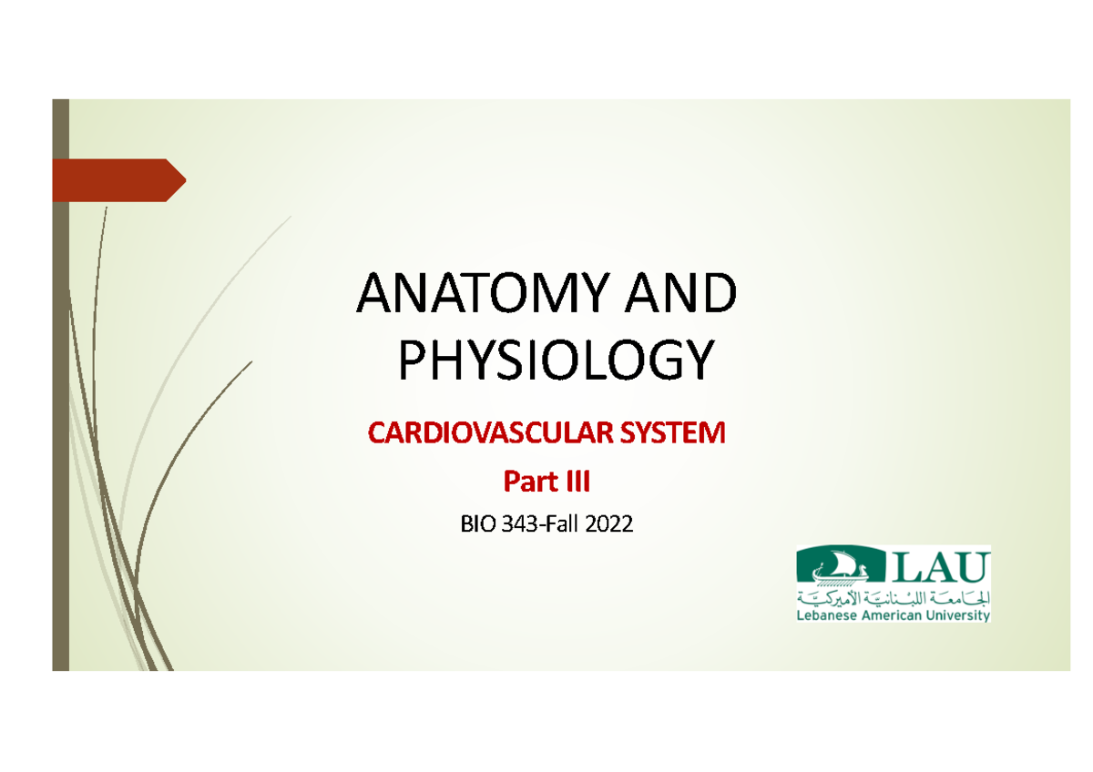 Chapter 9 - Cardiovascular System Overview - BIO 343 Fall 2022 - Studocu