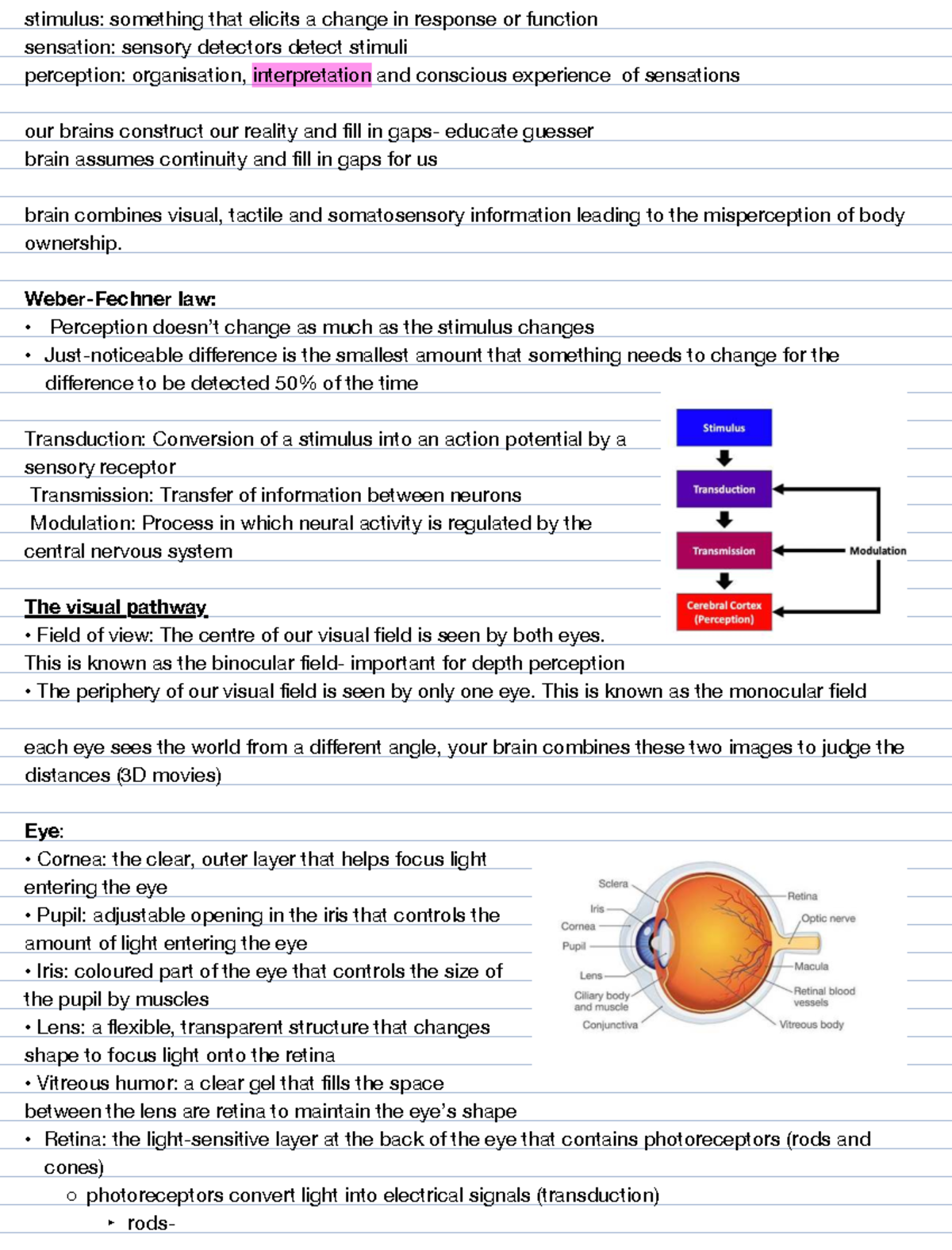 Sensation and Perception Lecture 1: Understanding Visual and Auditory ...