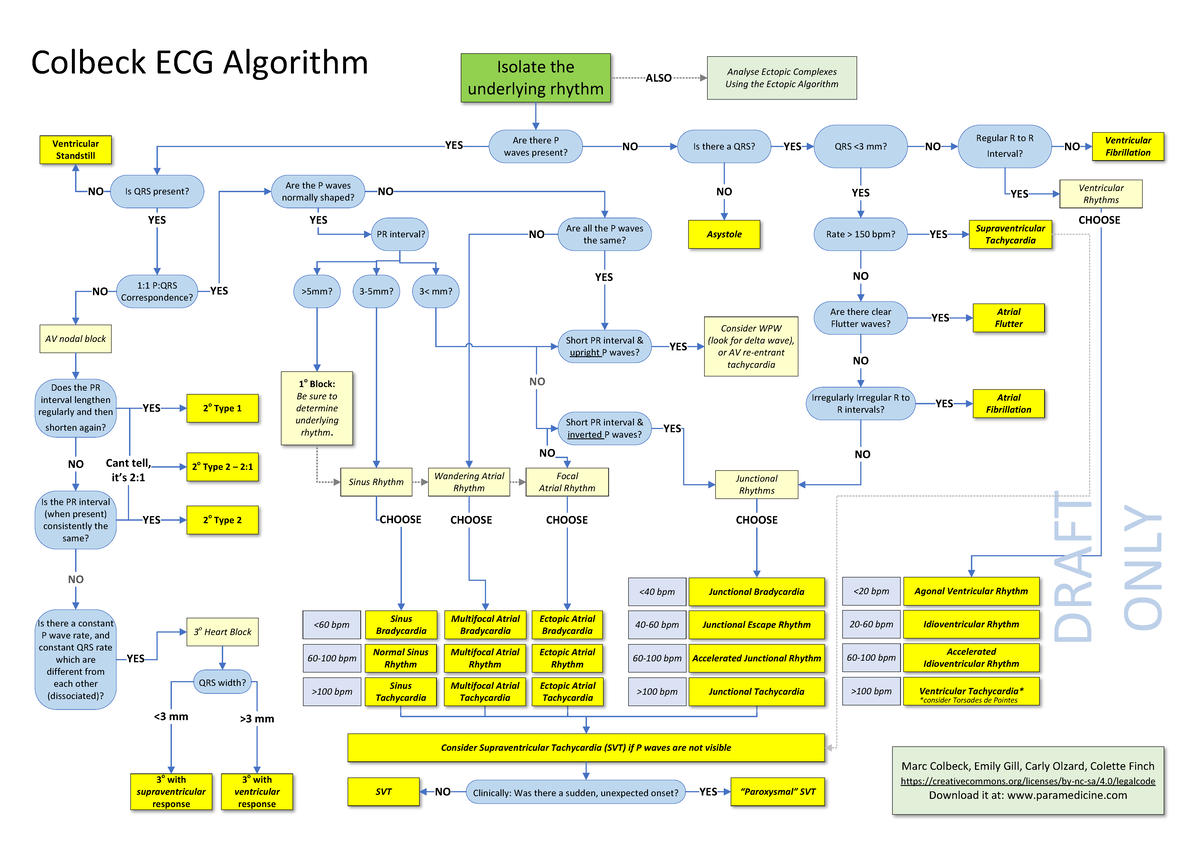 ECG Algorithm v12: Analyzing Ectopic Rhythms and Patterns - Studocu