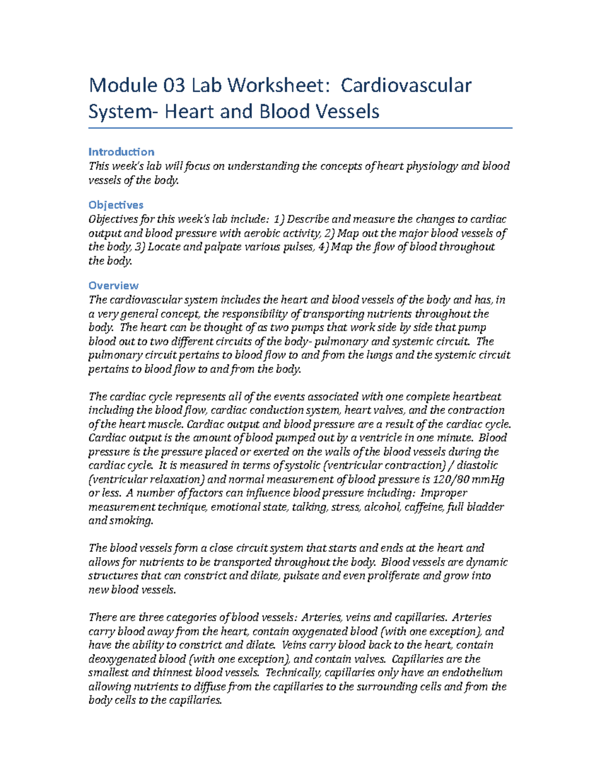 Cardiovascular Lab Report (Module 03): Heart Physiology & Blood Vessels ...