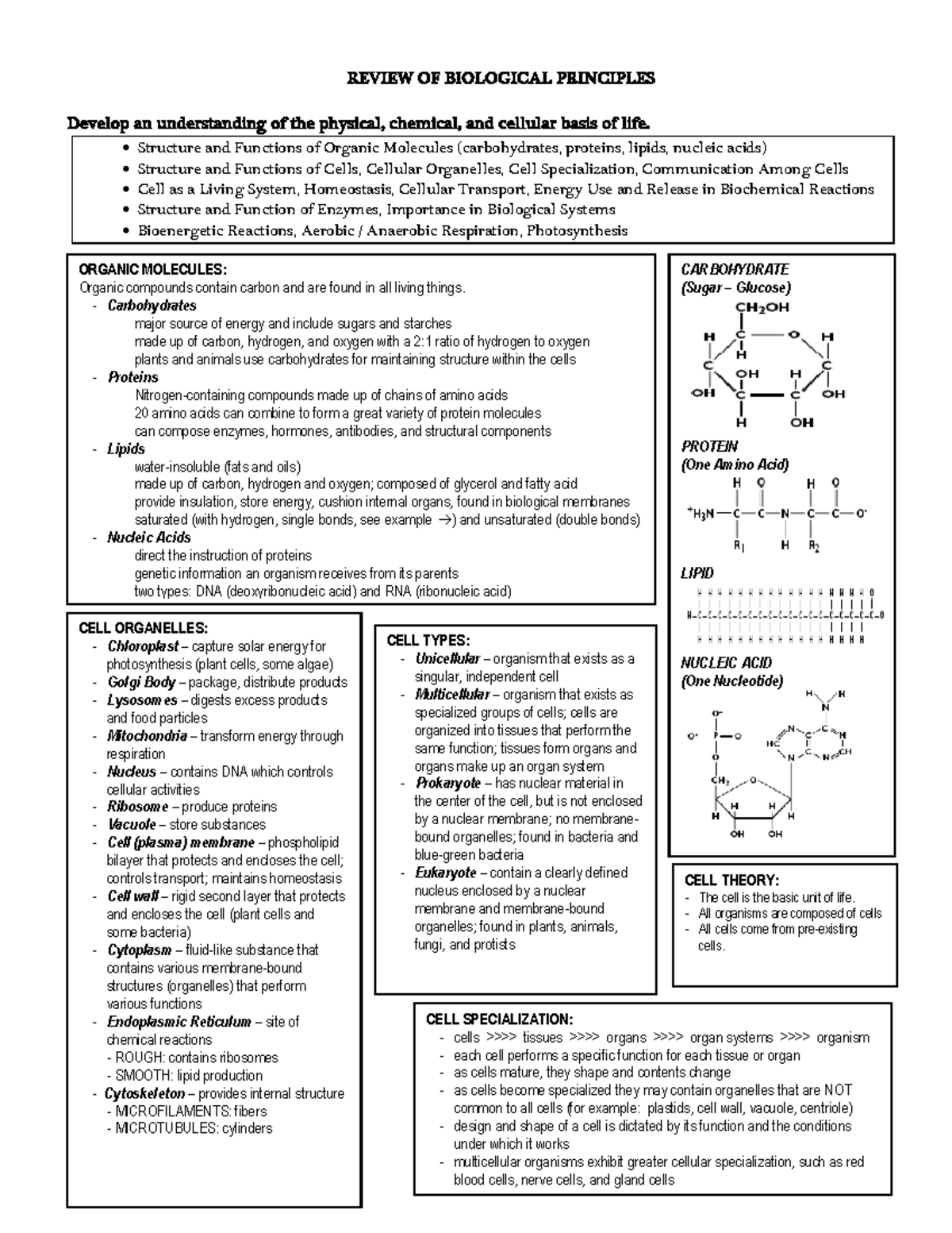 Biology Principles Review (BIO 101) - Key Concepts and Topics - Studocu