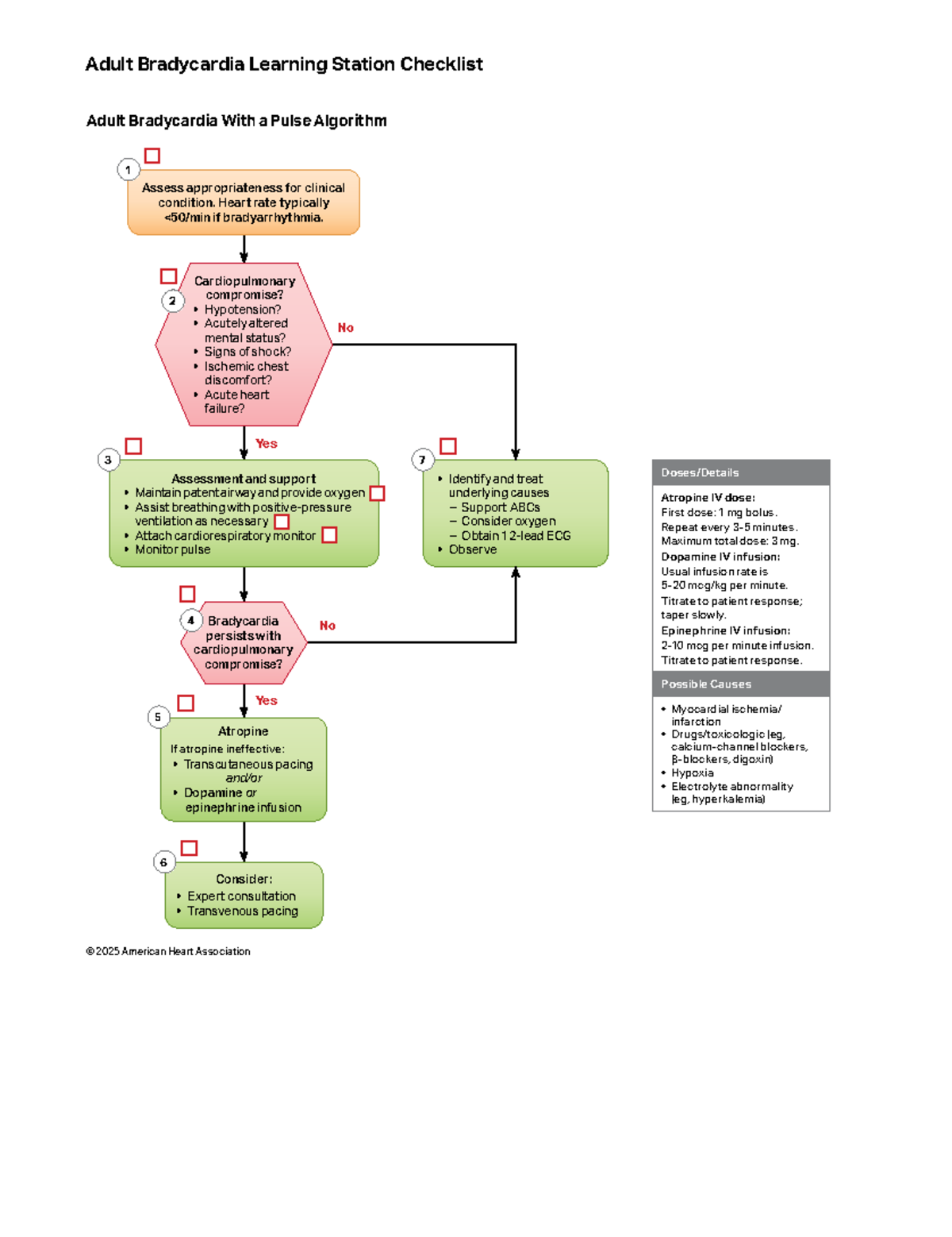 2025 ACLS Algorithms: Adult Bradycardia, Tachycardia & Cardiac Arrest ...