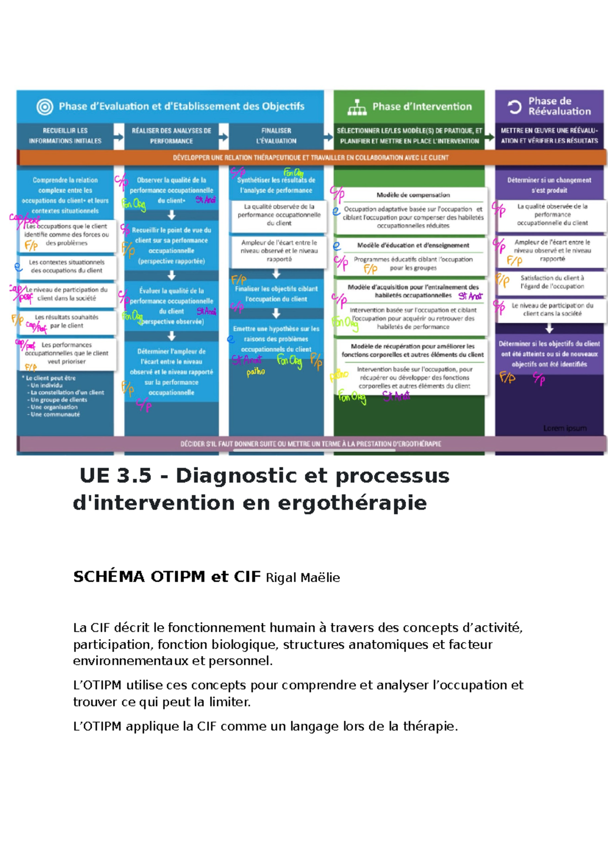 sch-ma-otipm-et-cif-rigal-maelie-ergoth-rapie-mod-les-ue-3