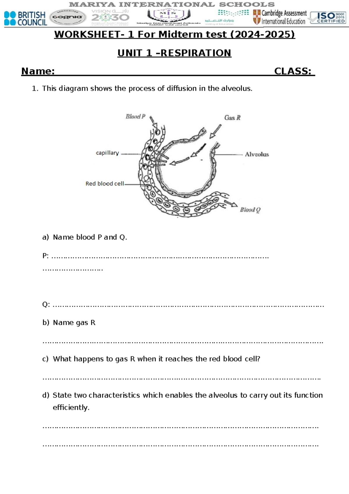 Revision Worksheet for Midterm - UNIT 1: Diffusion & Breathing - Studocu