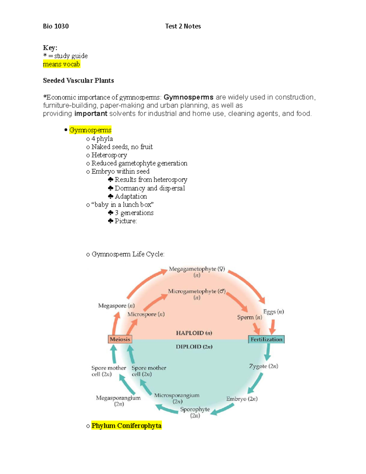 Seeded Vascular Plants Overview - Exam 2 Study Guide BIOL1030 - Studocu